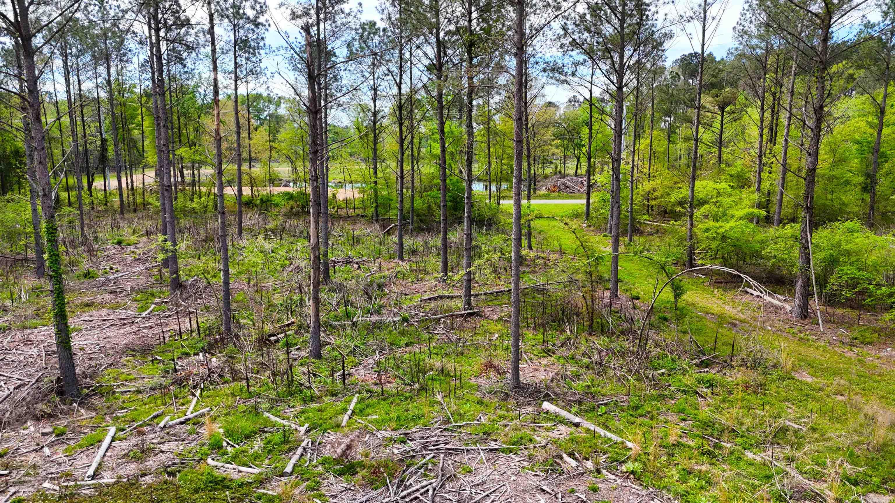 26013841 Property Photo 11
