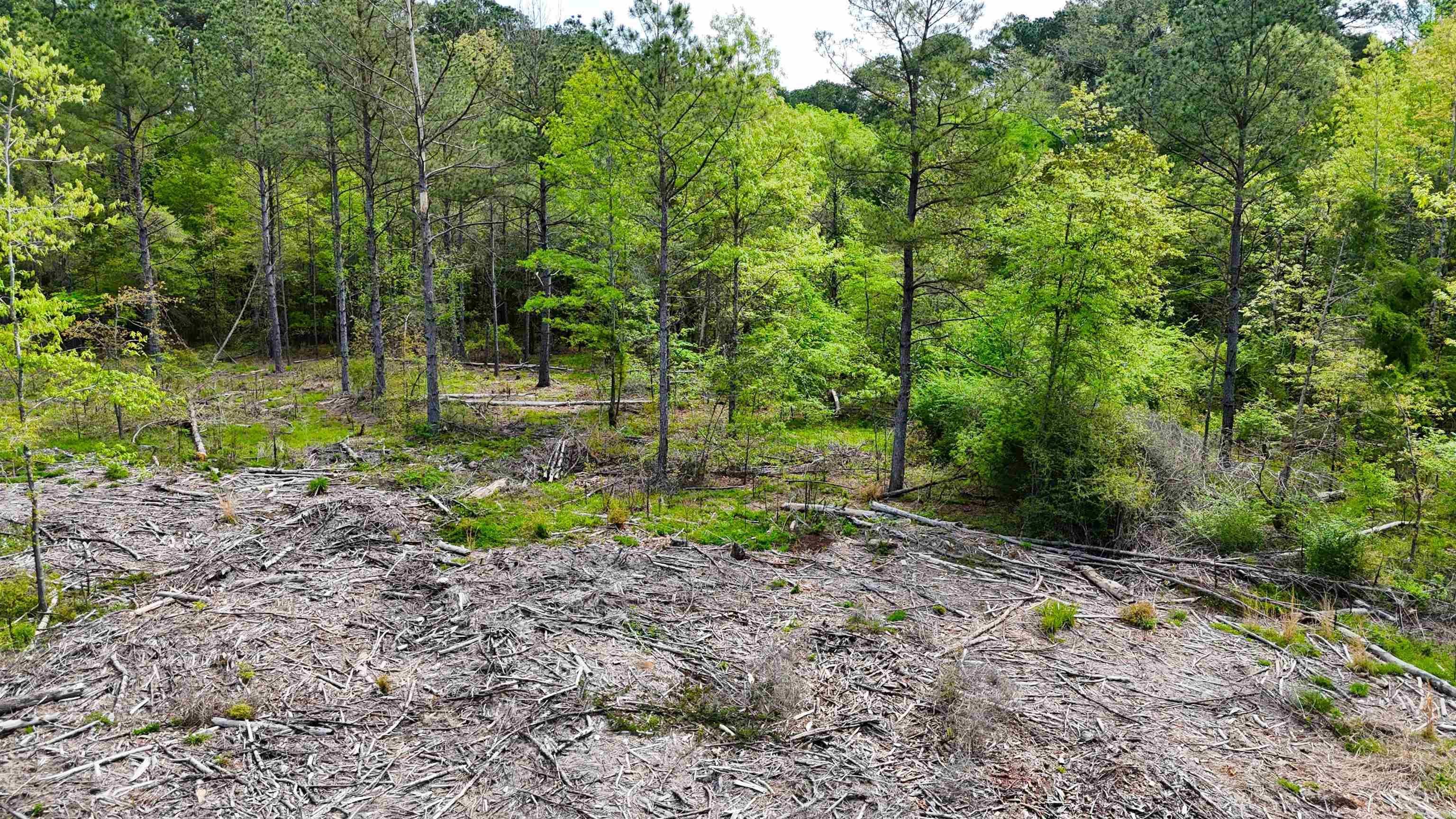 26013841 Property Photo 12