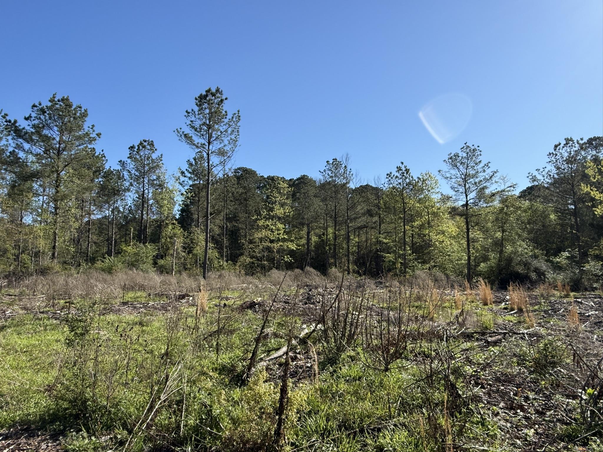 26013841 Property Photo 13