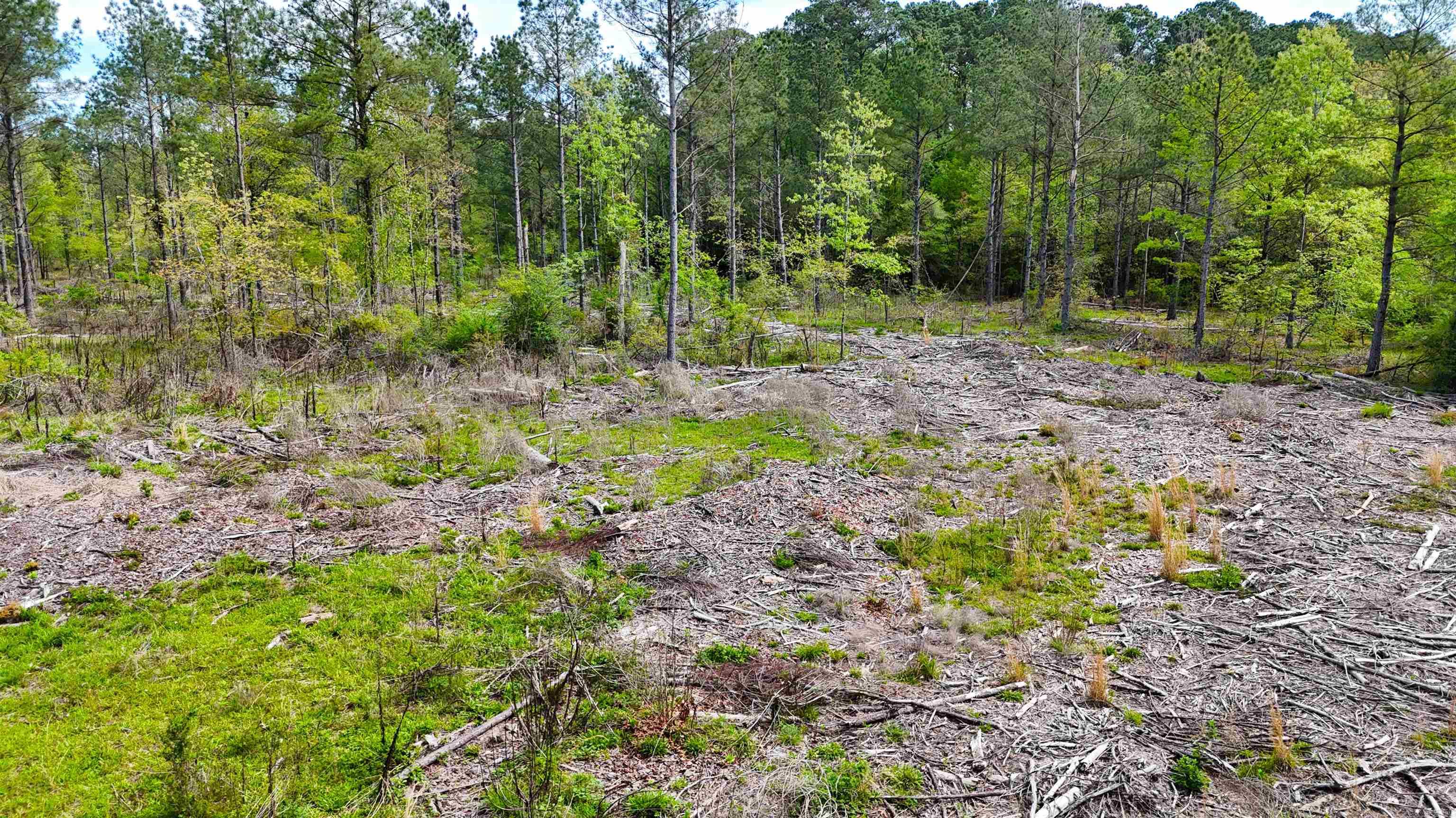 26013841 Property Photo 14