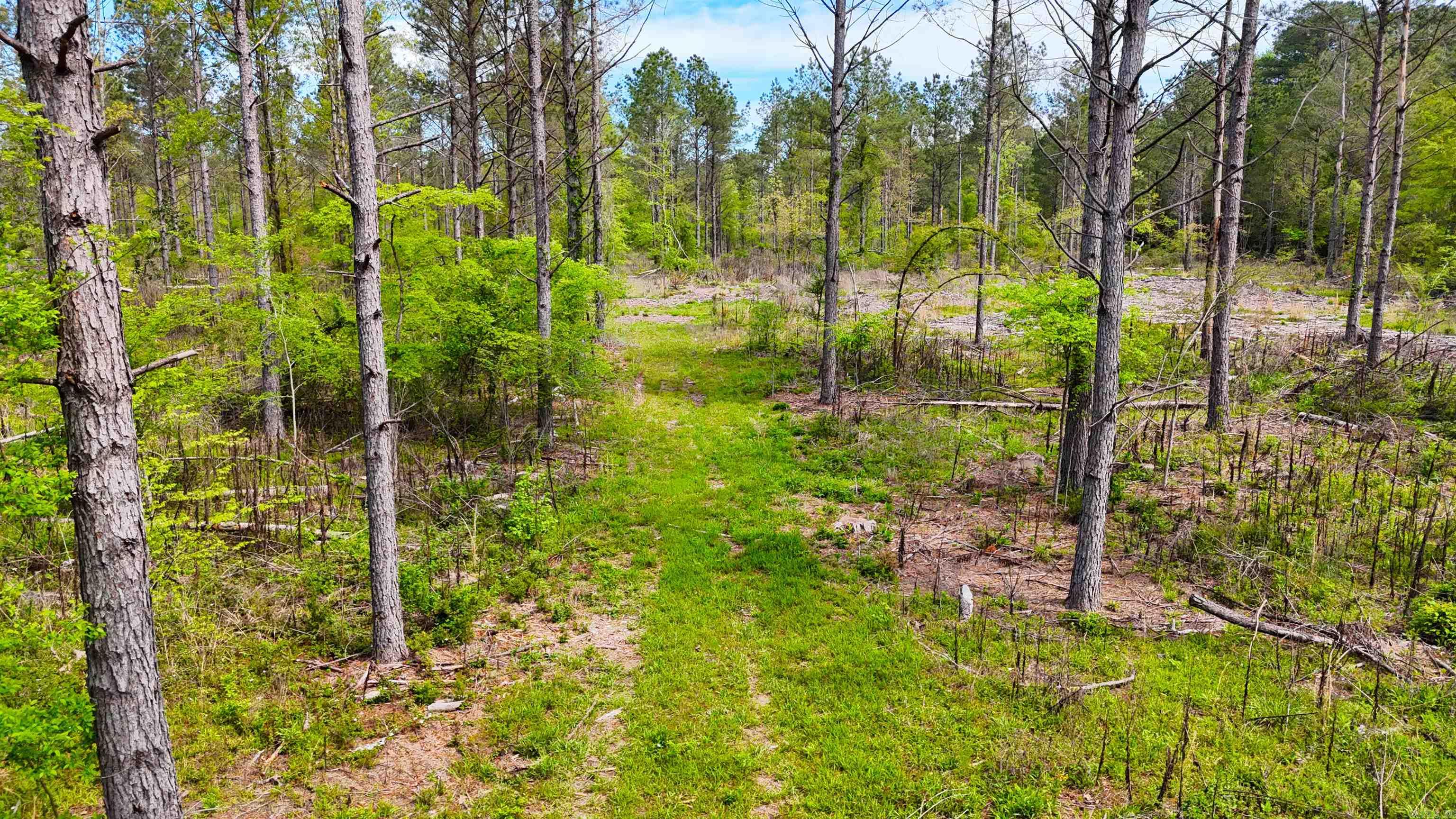 26013841 Property Photo 15