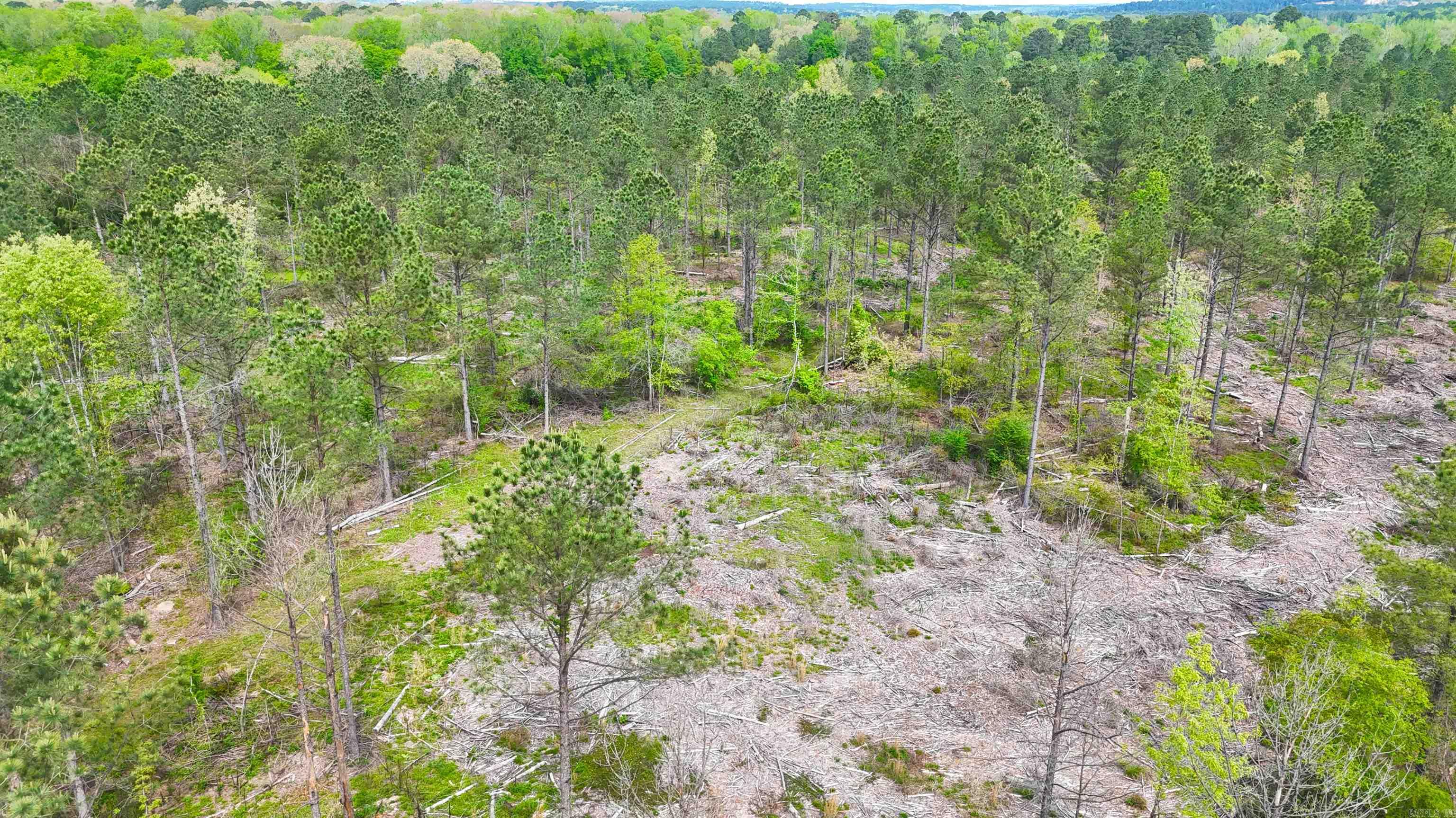 26013841 Property Photo 16