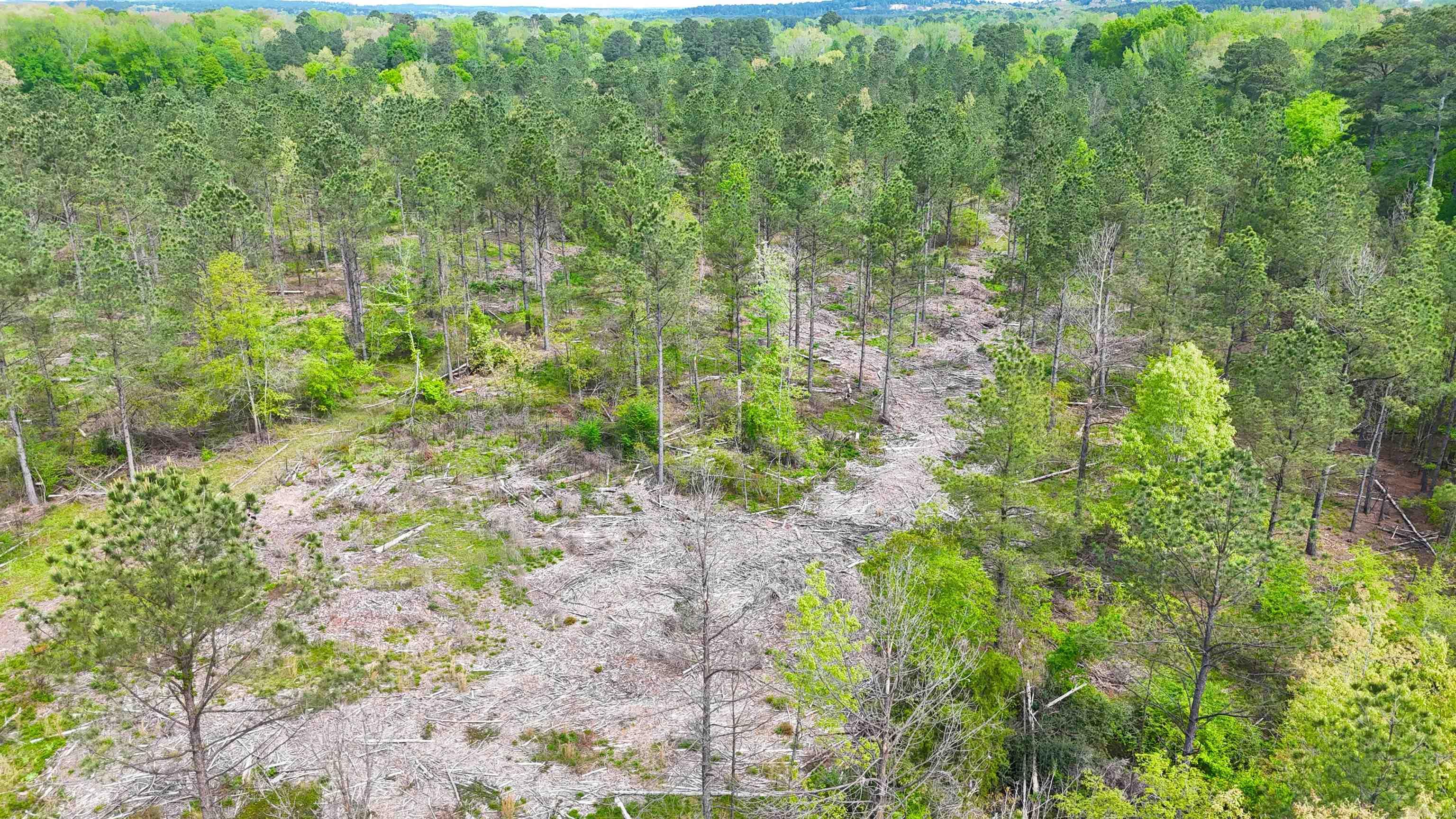 26013841 Property Photo 17