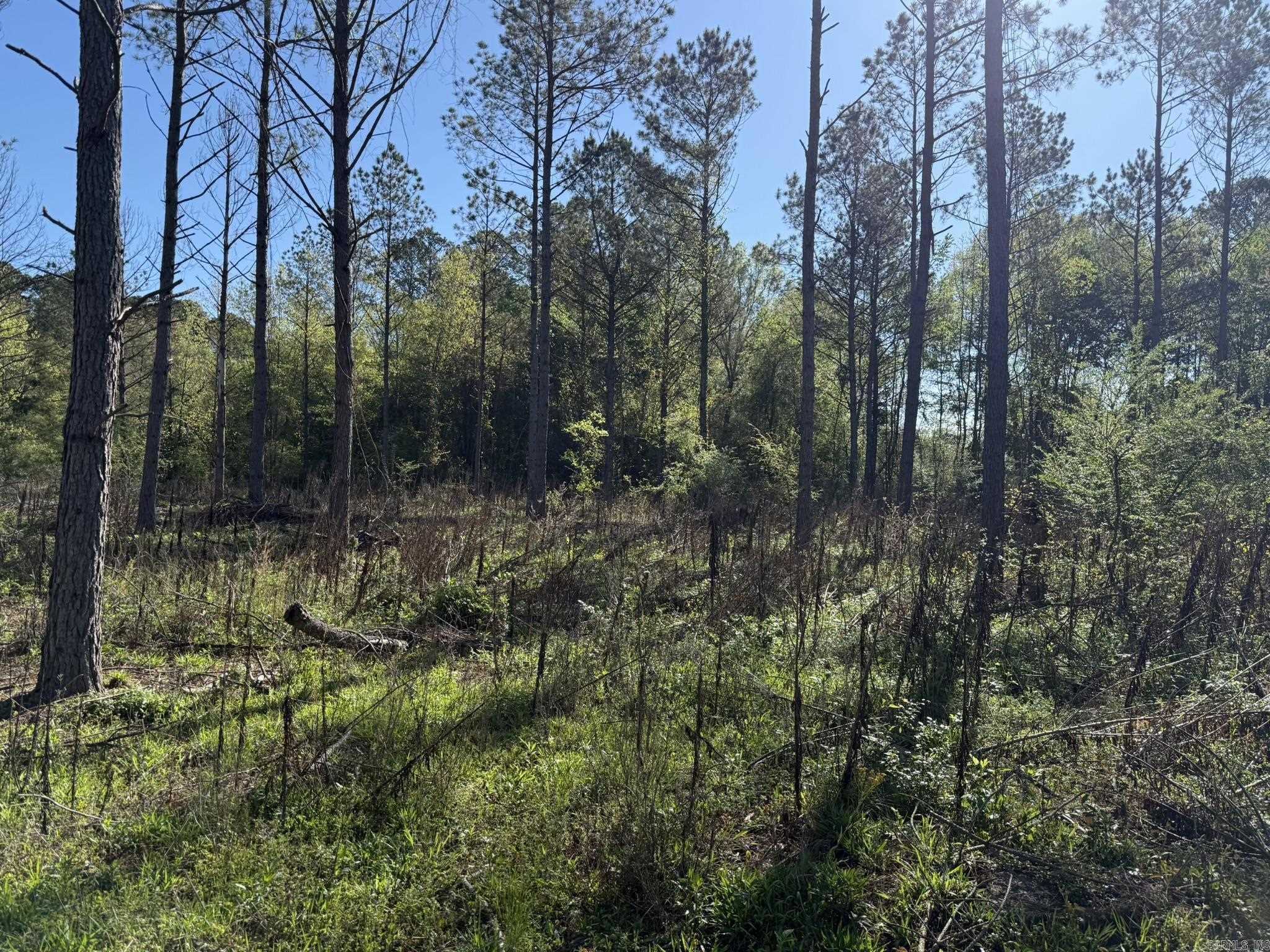 26013841 Property Photo 20