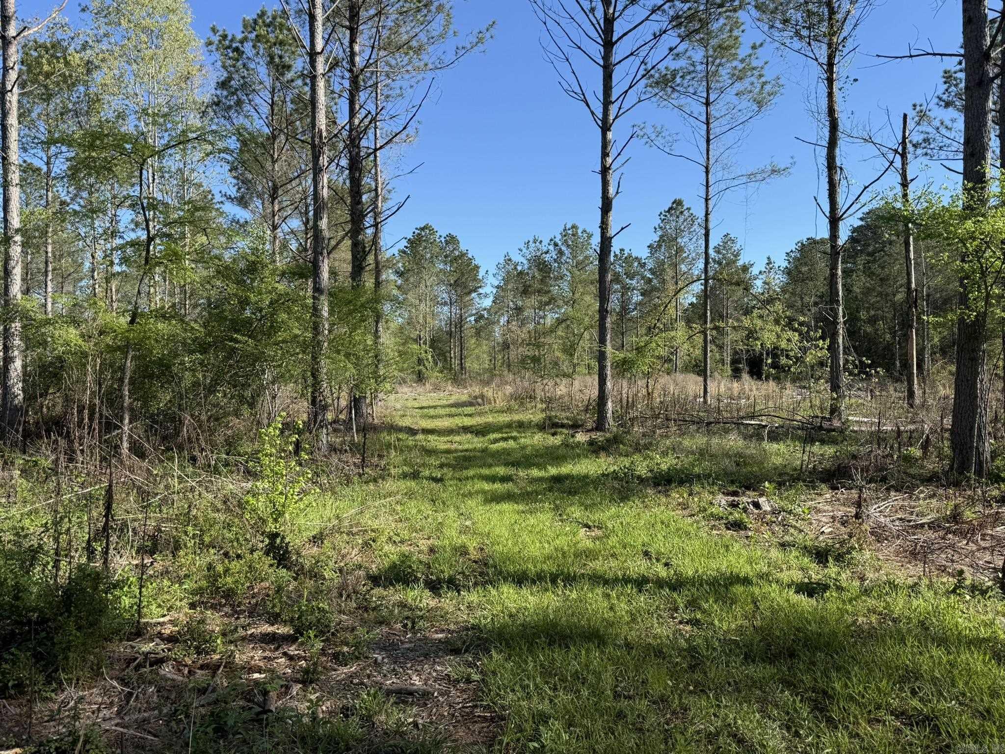 26013841 Property Photo 21