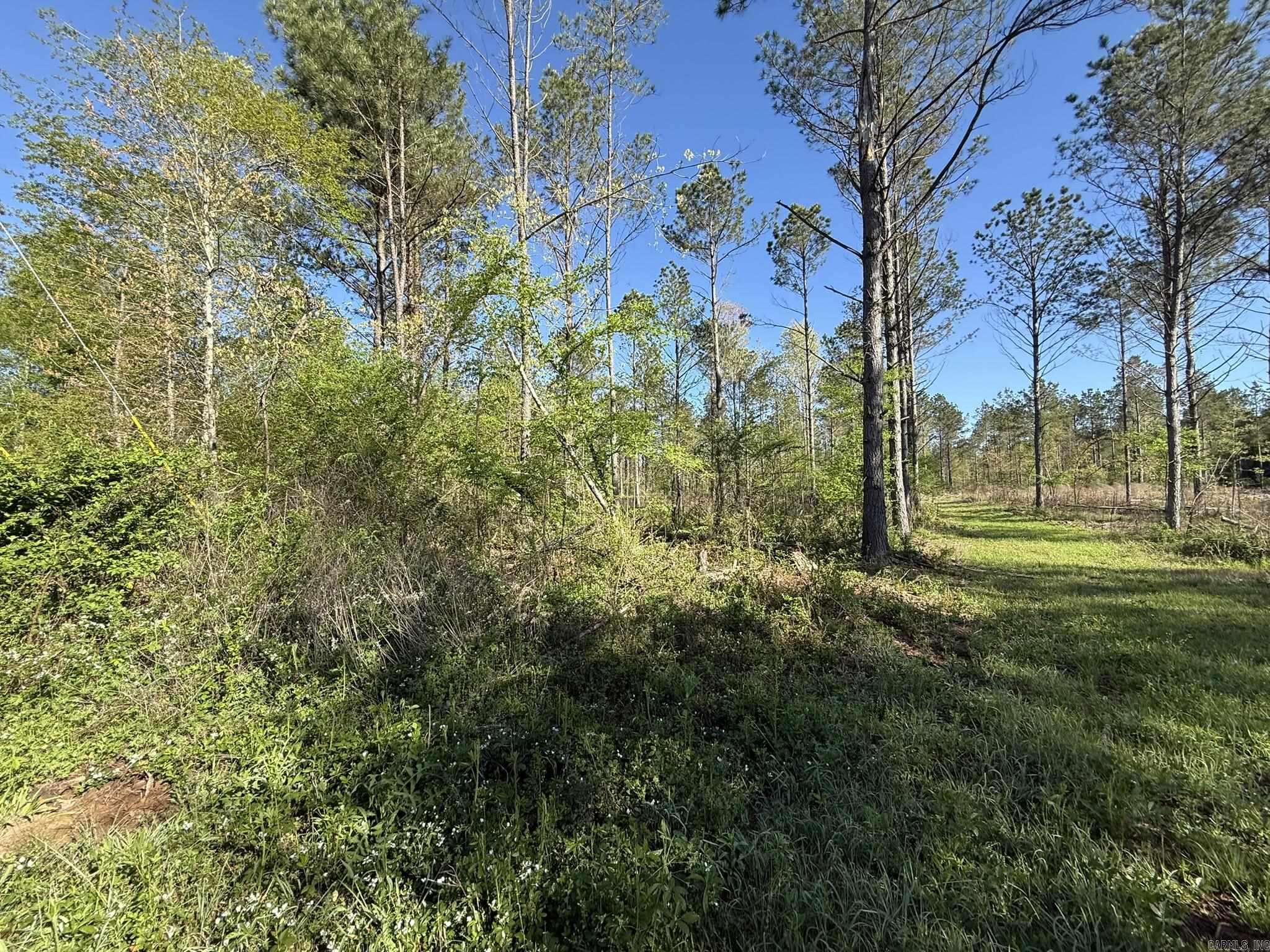 26013841 Property Photo 22
