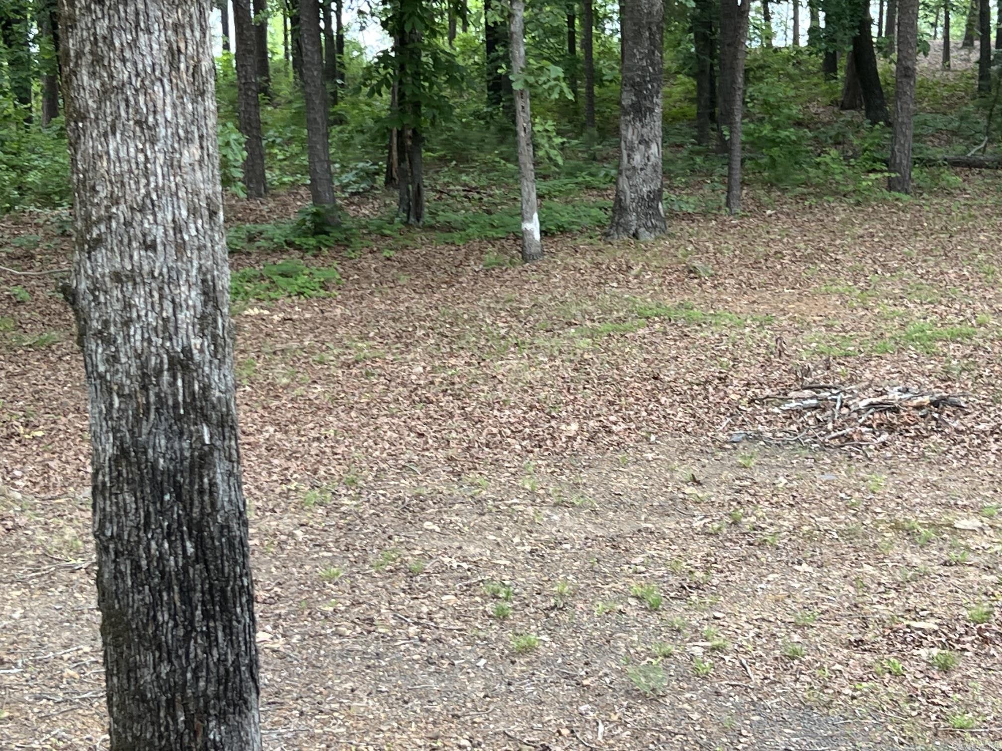 289 Dike View Road Property Photo 30