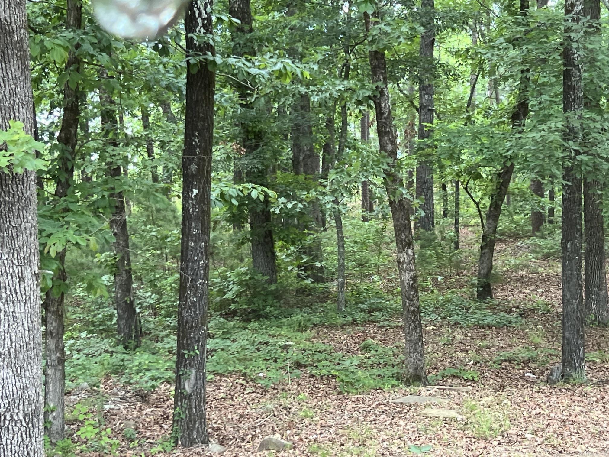289 Dike View Road Property Photo 33