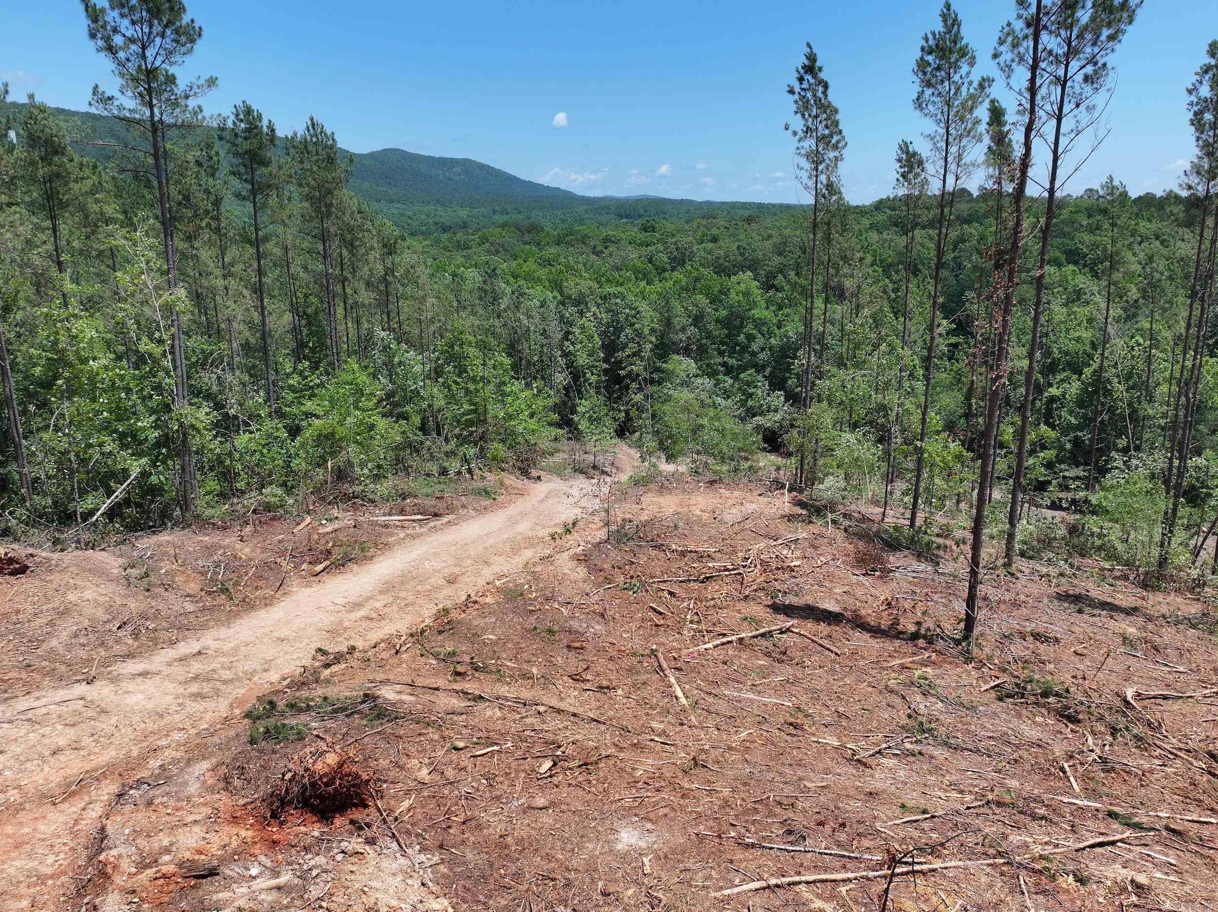 14 Palmer Mountain Rd Property Photo 8