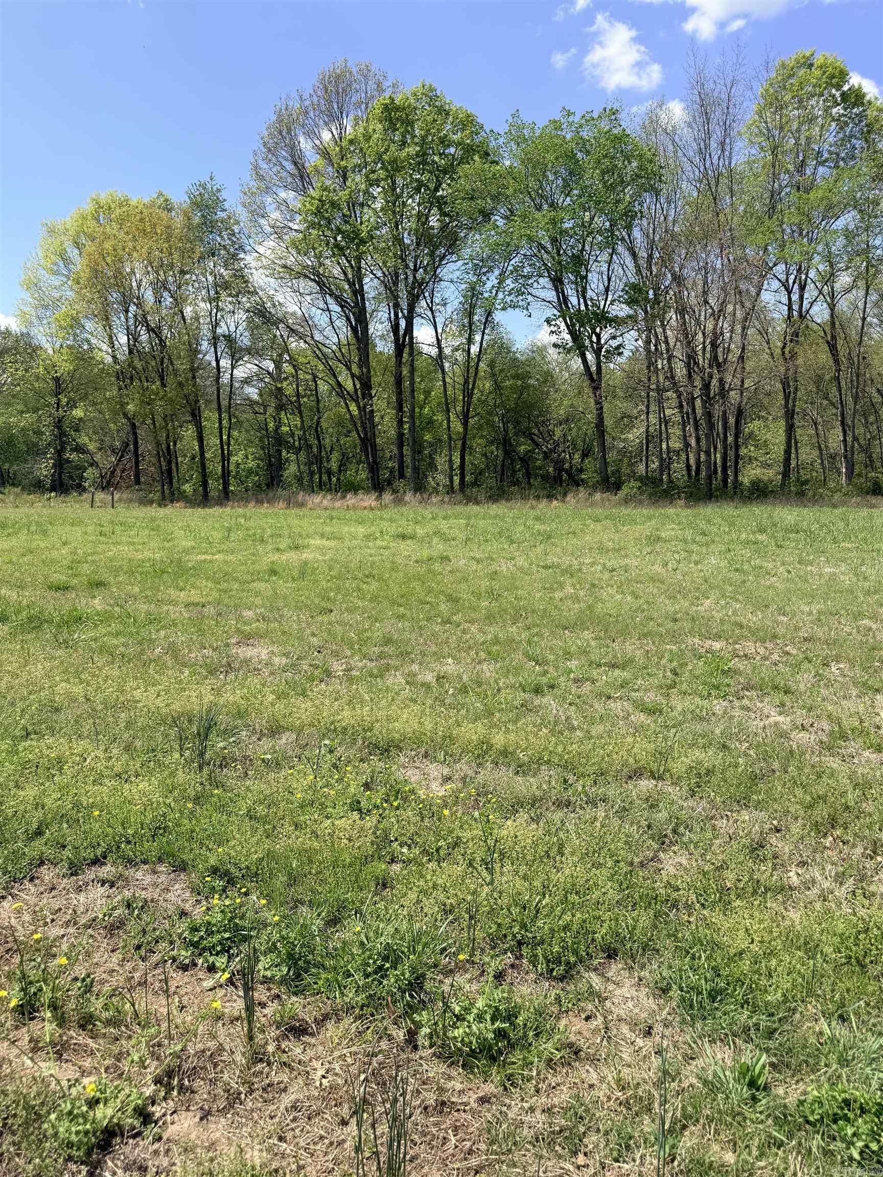 000 Sunshine Property Photo 5