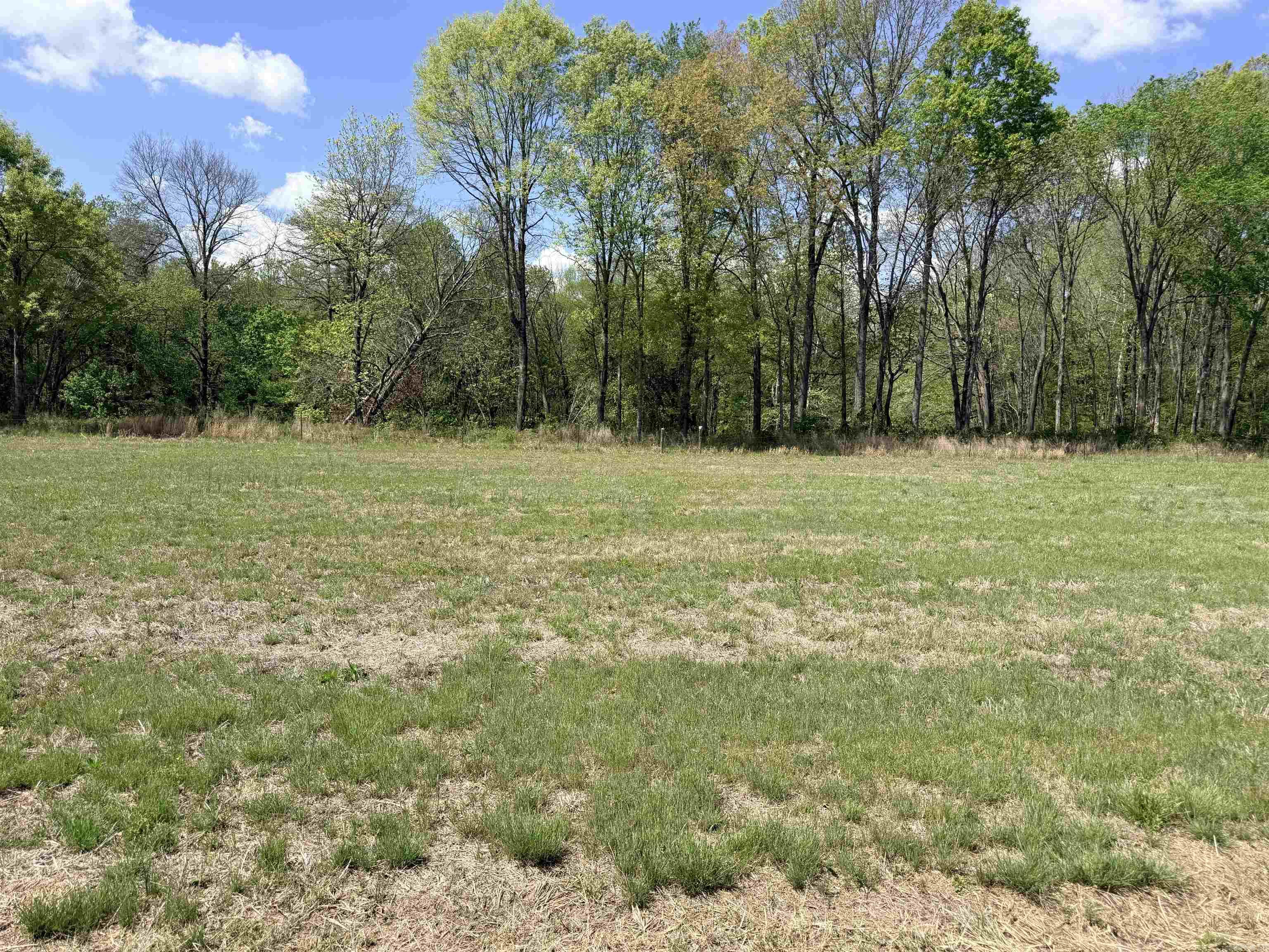 000 Sunshine Property Photo 11