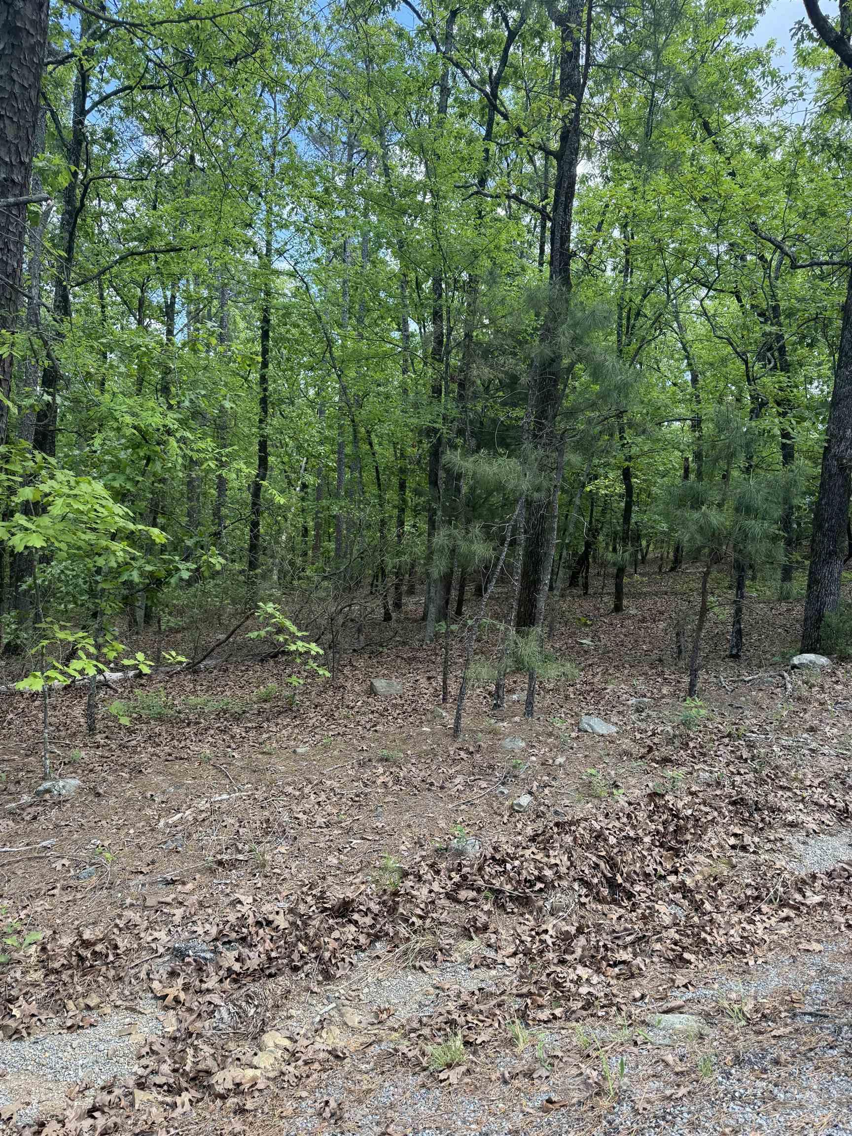 12215 Natural Steps Drive Property Photo 2