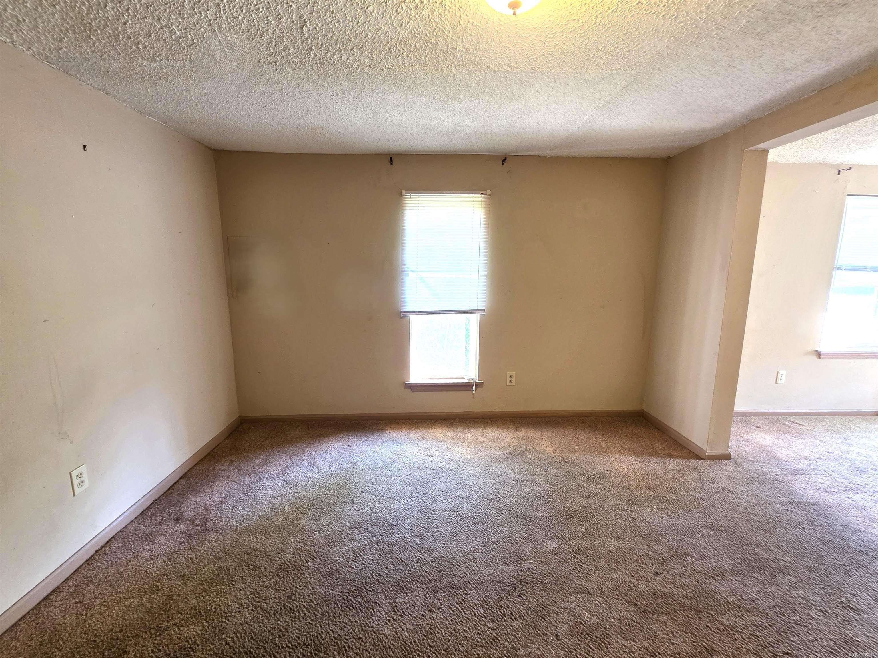 515 S Louisiana Property Photo 7