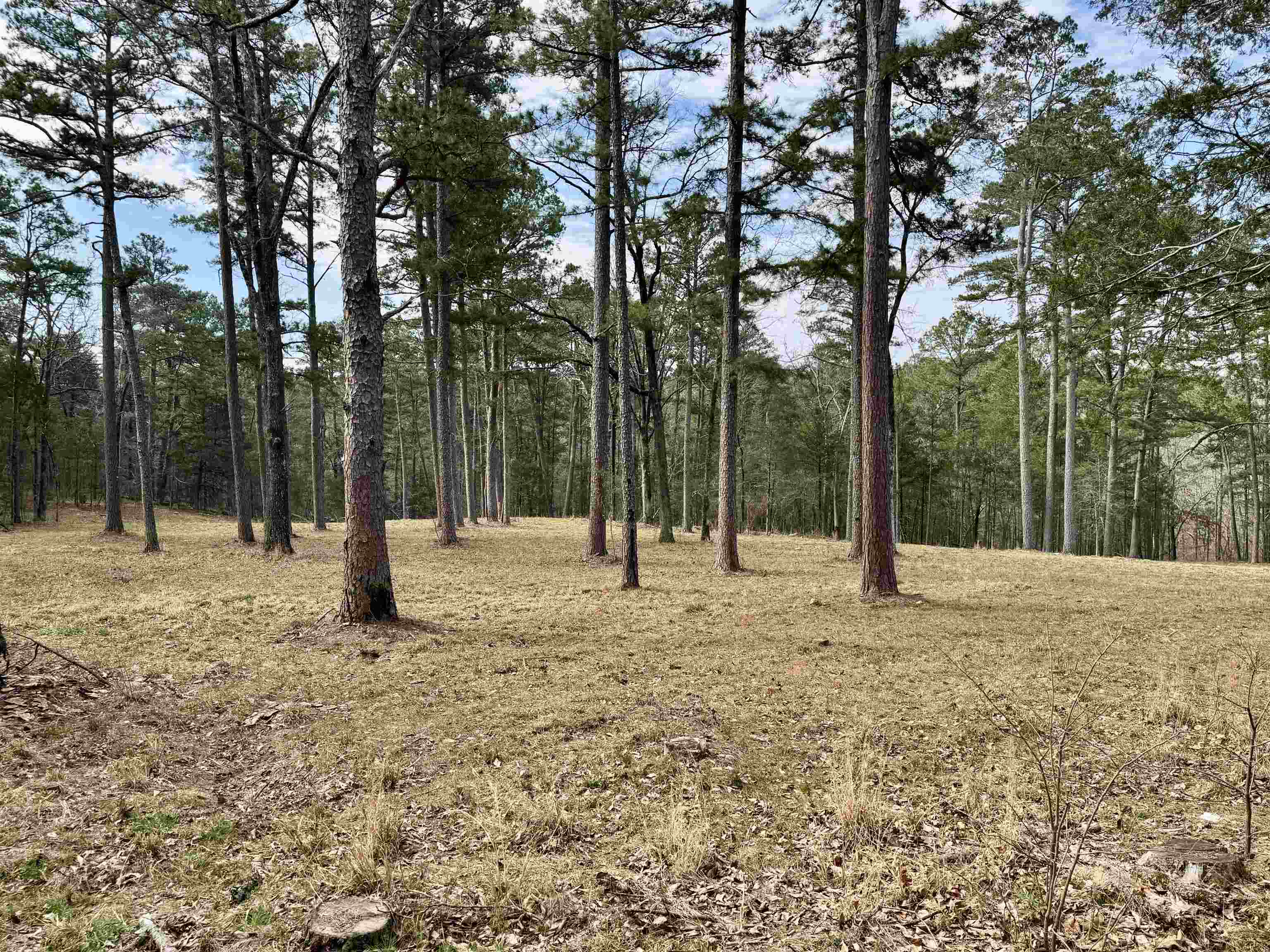 54 Split Rock Road Property Photo 8