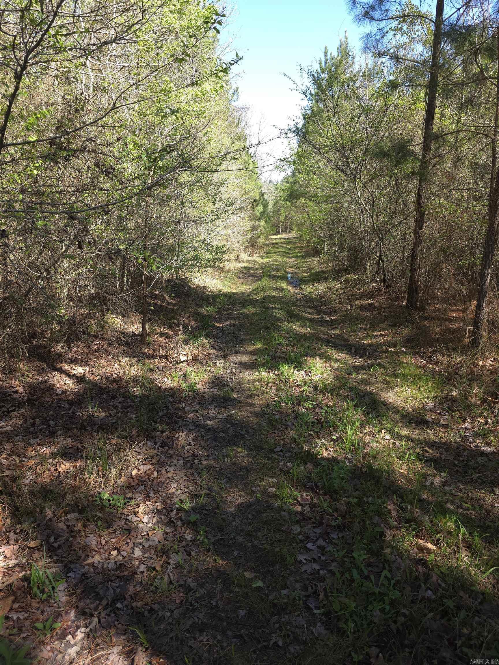 Tbd Shawmut Road Property Photo 1