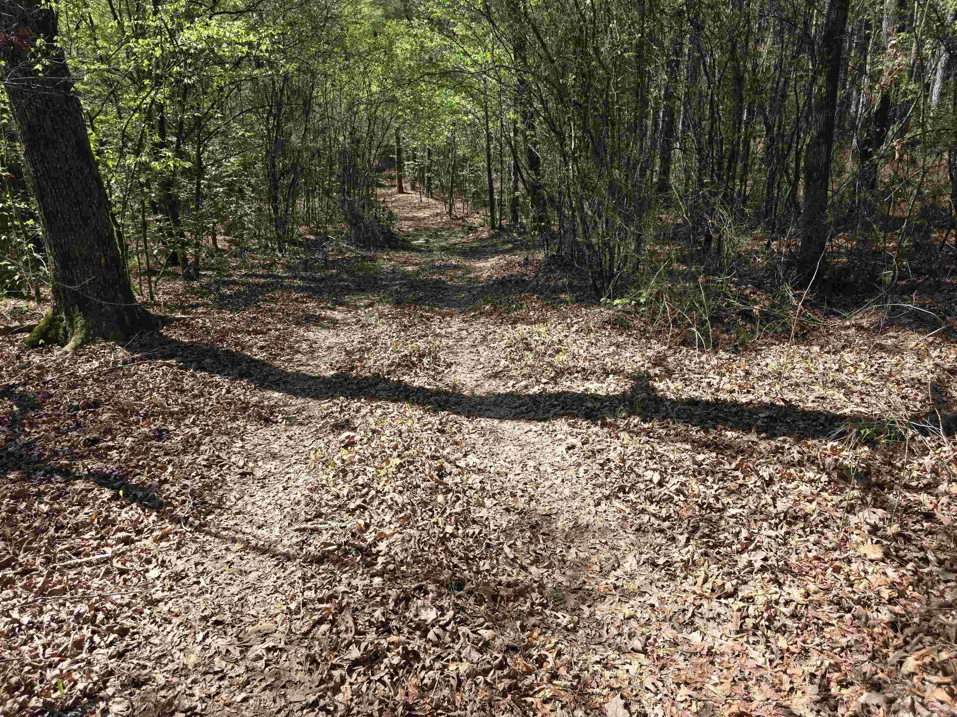 Tbd Shawmut Road Property Photo 2