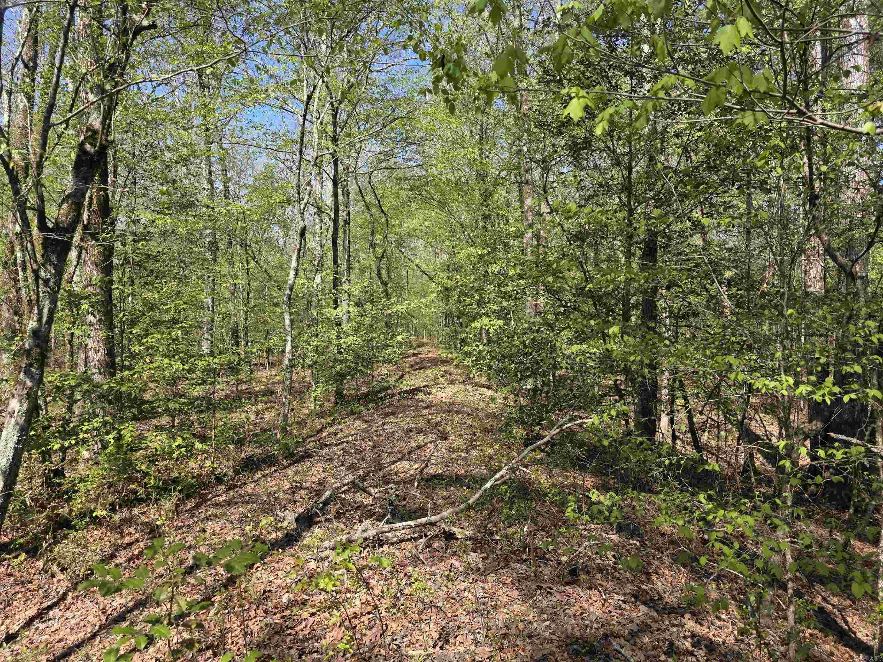 Tbd Shawmut Road Property Photo 3