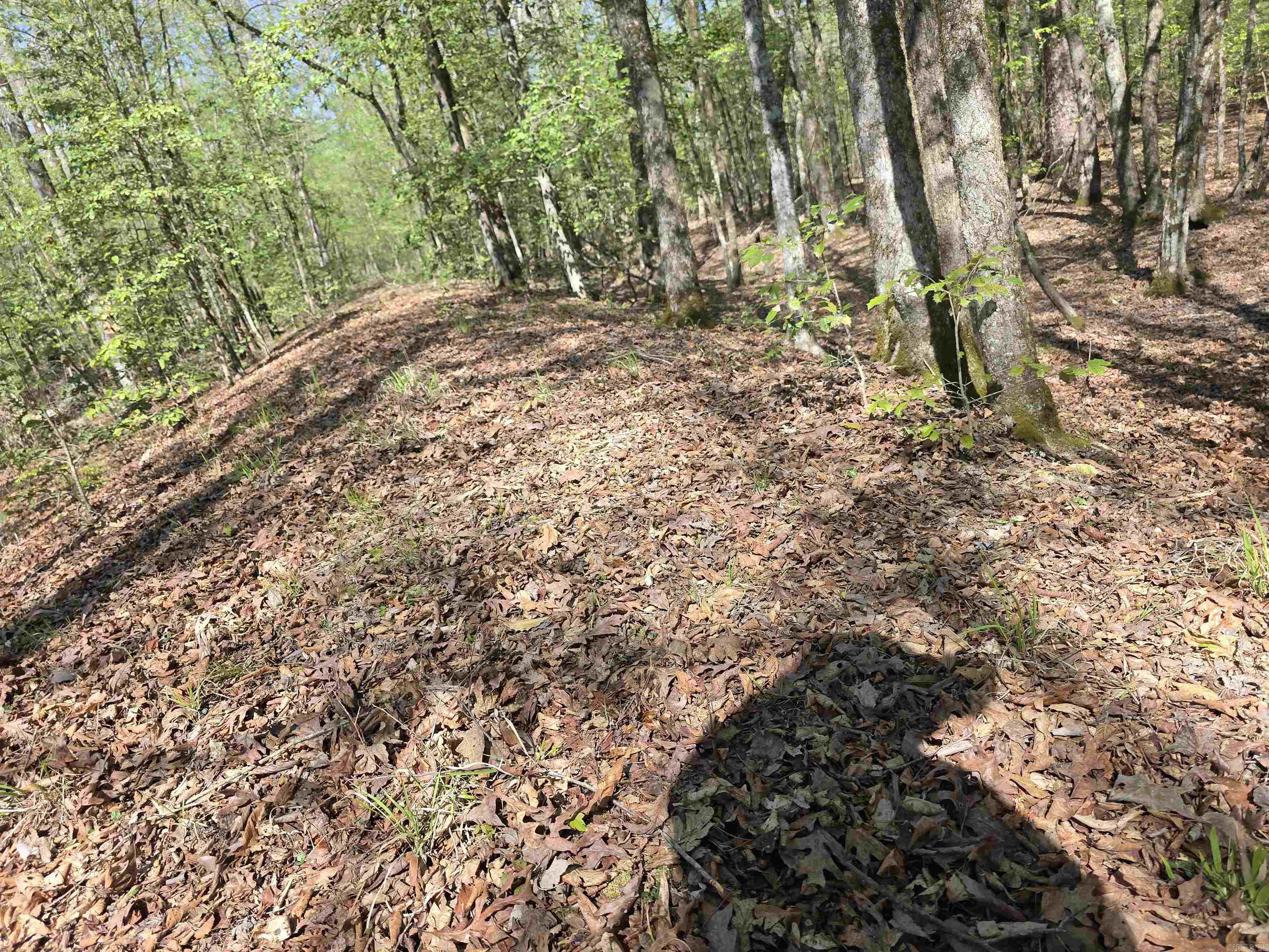 Tbd Shawmut Road Property Photo 5