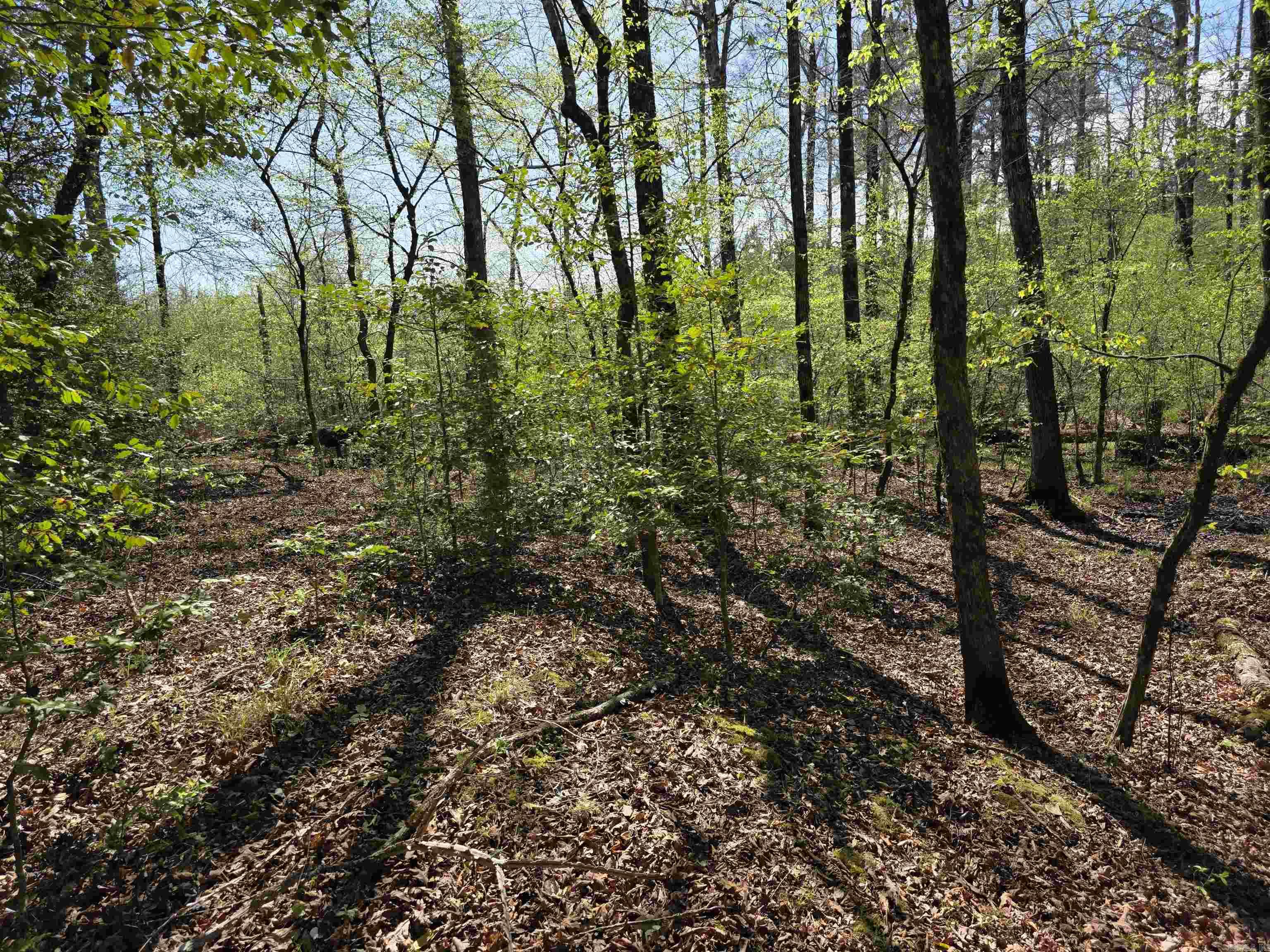 Tbd Shawmut Road Property Photo 6