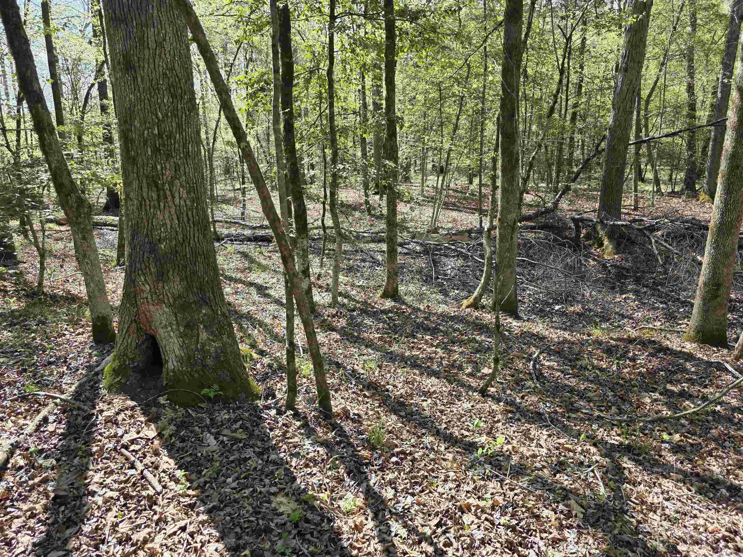 Tbd Shawmut Road Property Photo 7