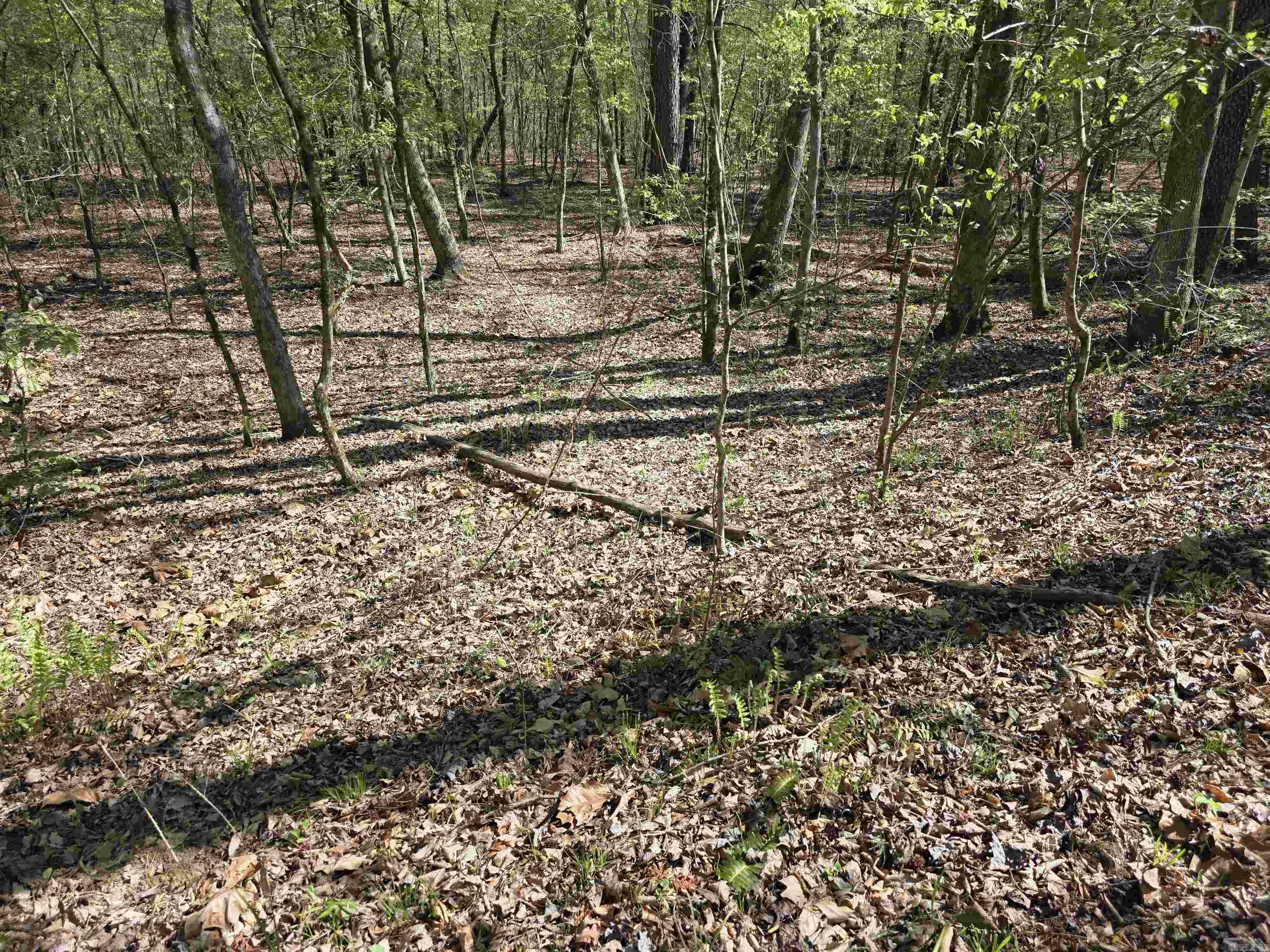 Tbd Shawmut Road Property Photo 8