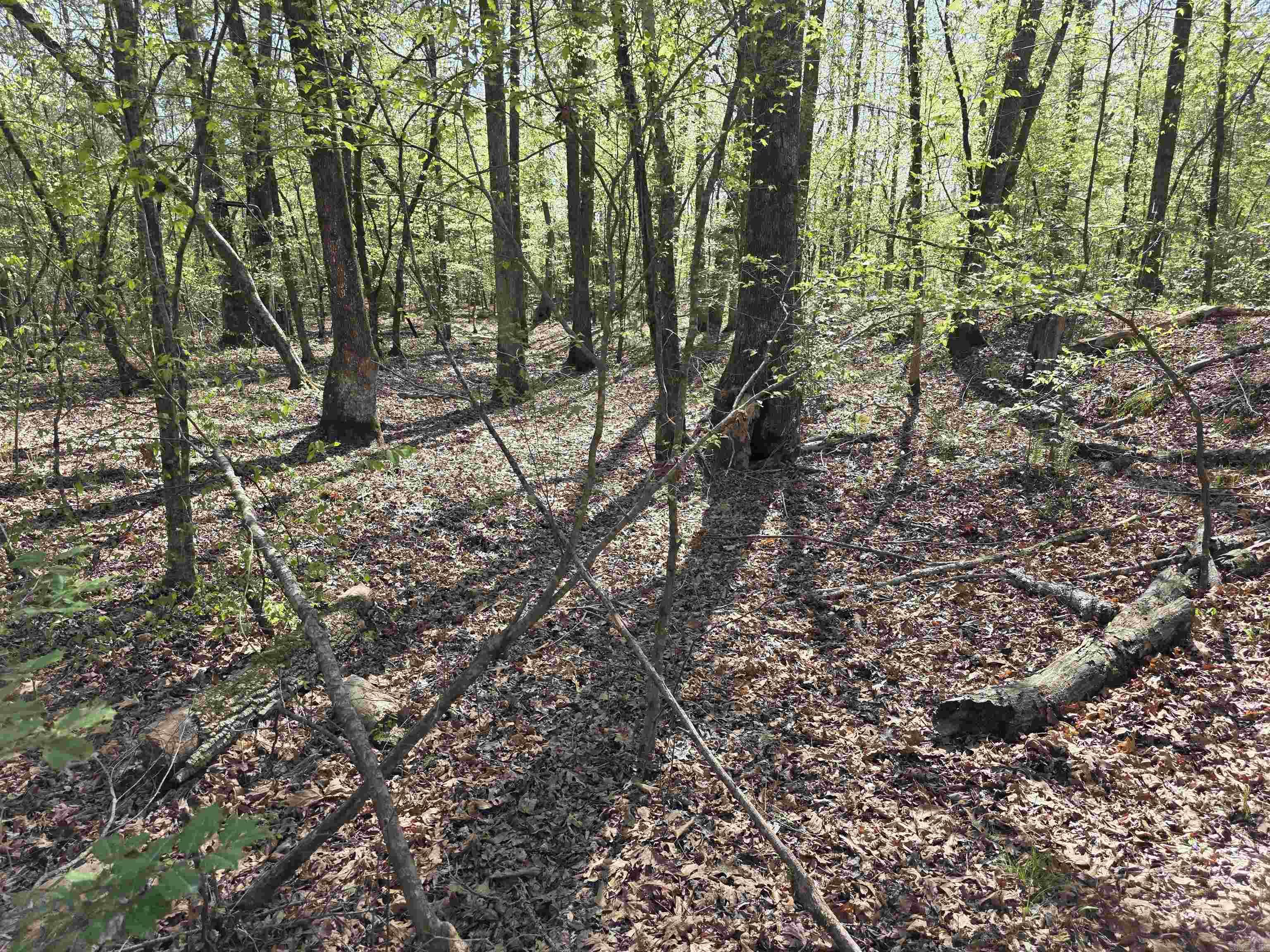 Tbd Shawmut Road Property Photo 9