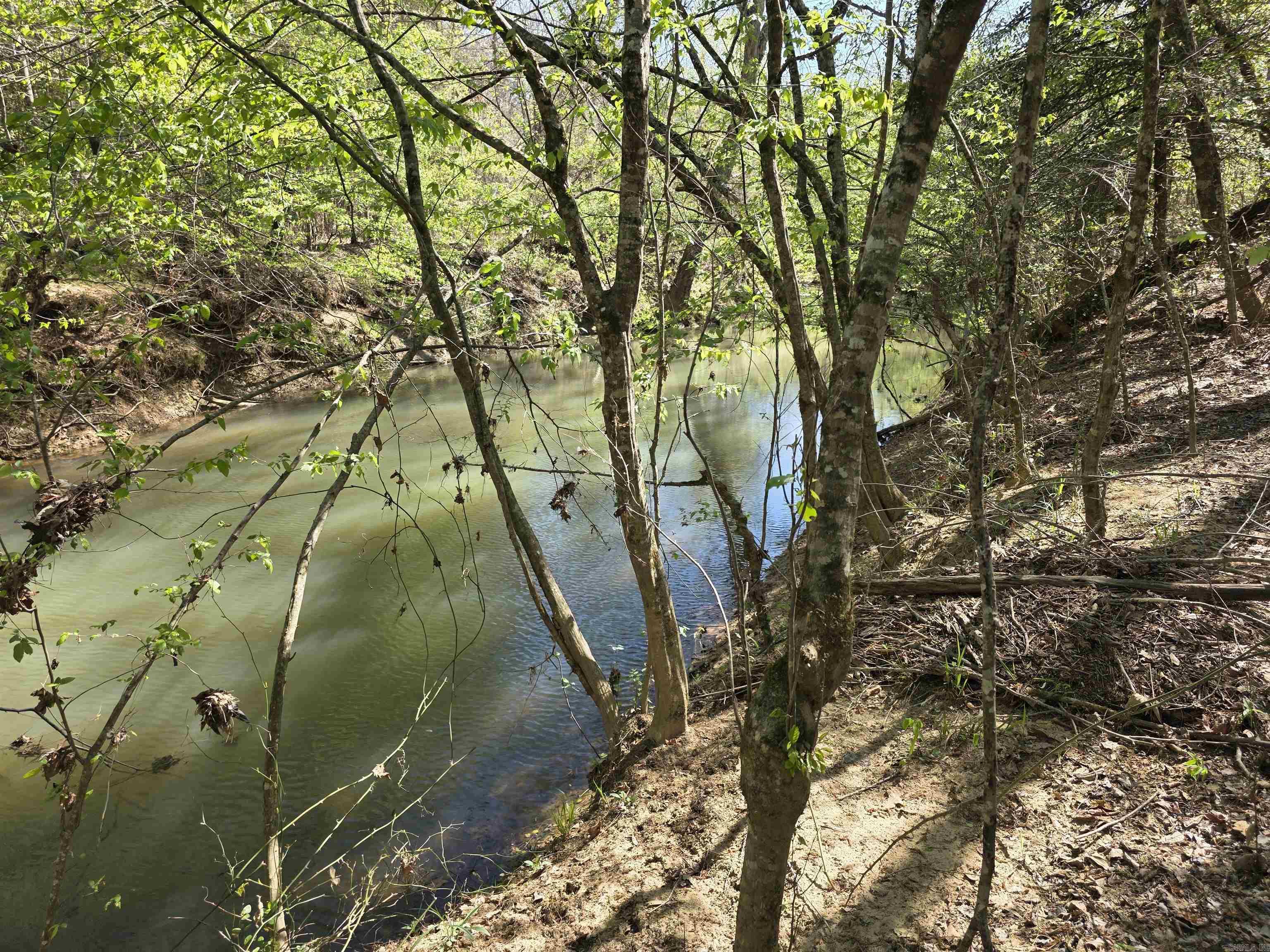 Tbd Shawmut Road Property Photo 10