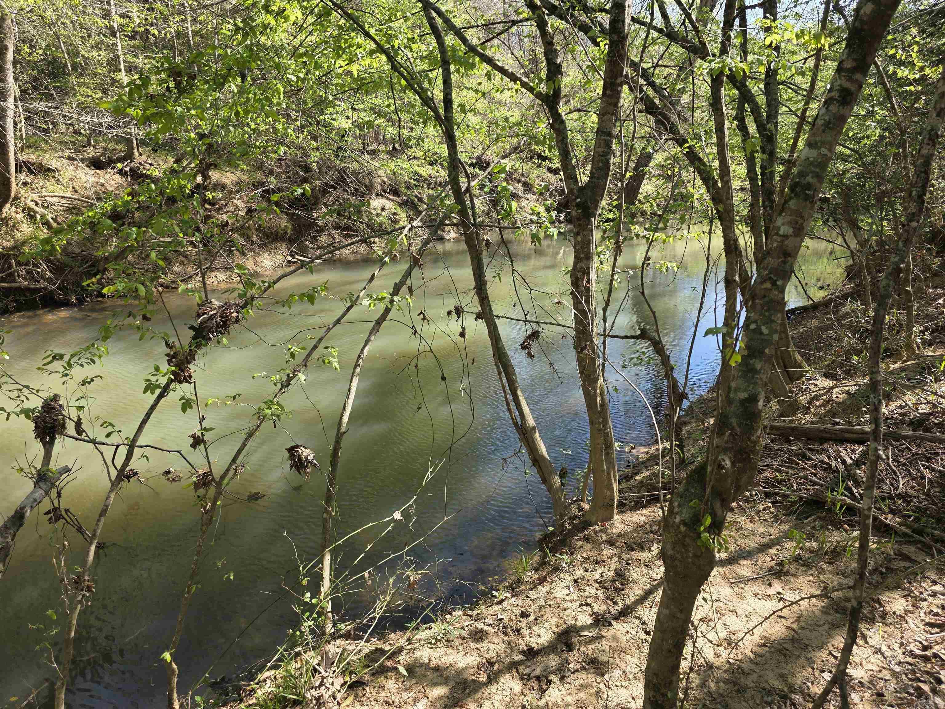 Tbd Shawmut Road Property Photo 11
