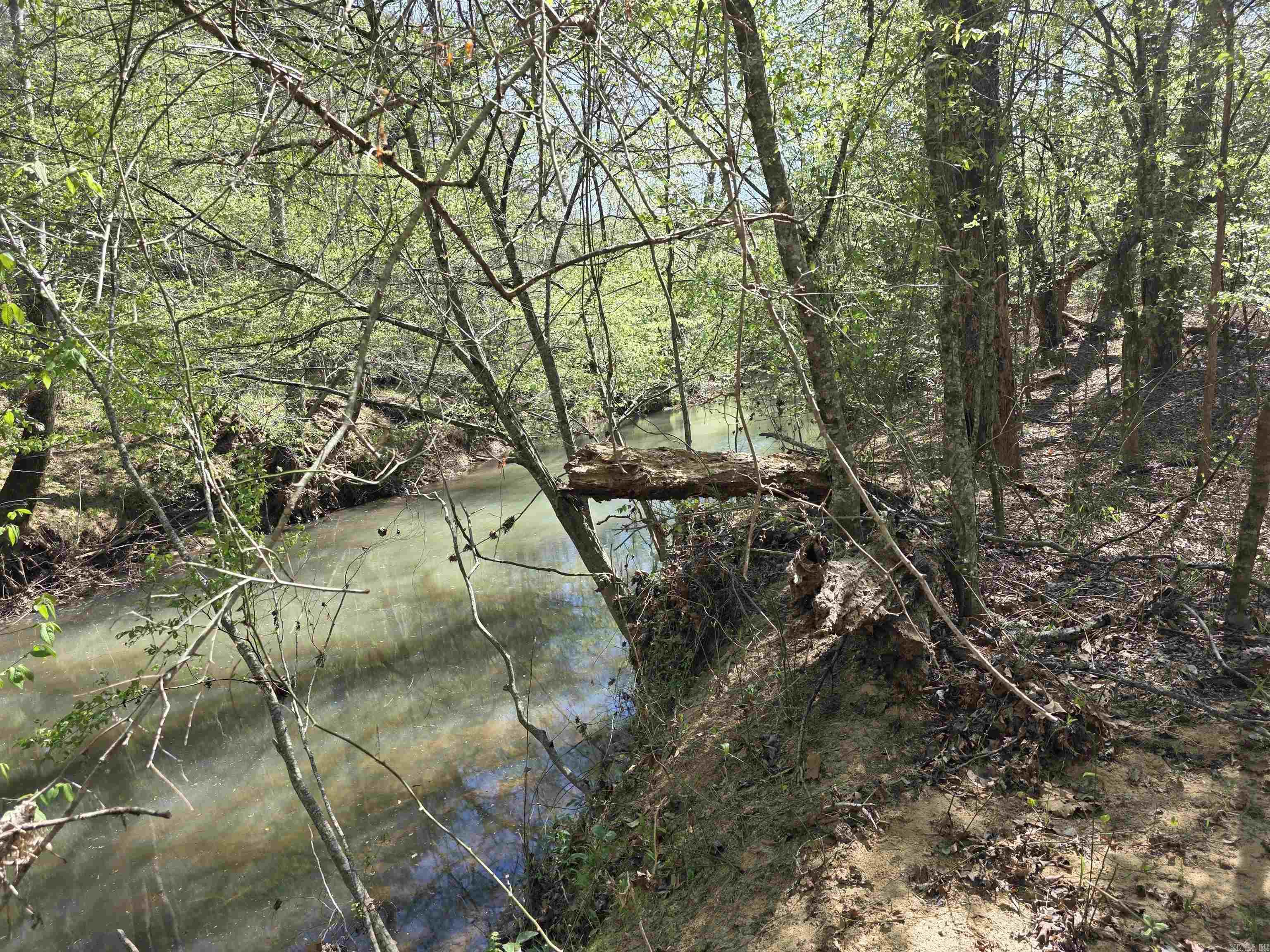 Tbd Shawmut Road Property Photo 12
