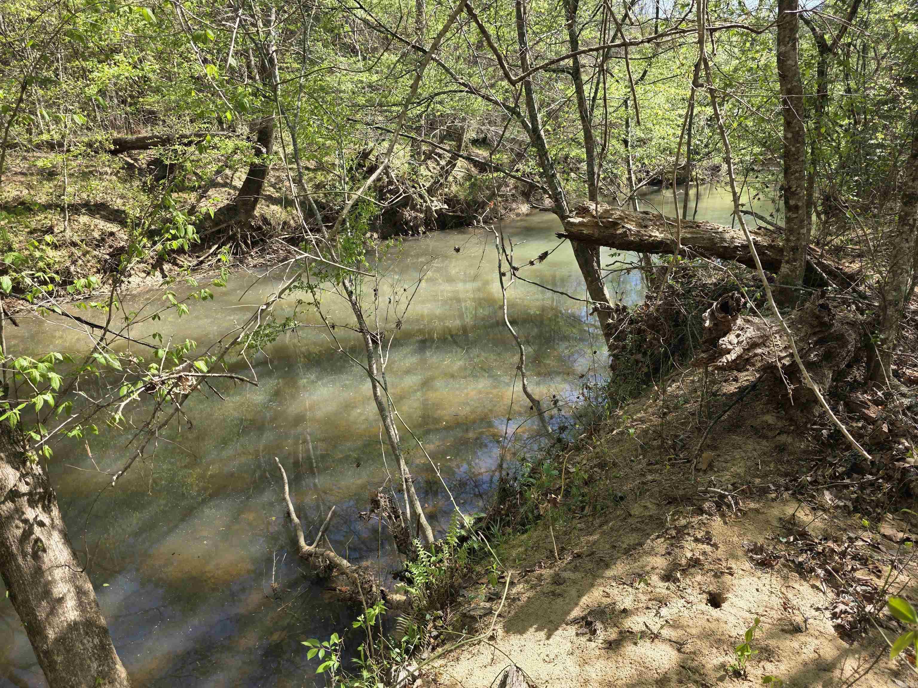 Tbd Shawmut Road Property Photo 13