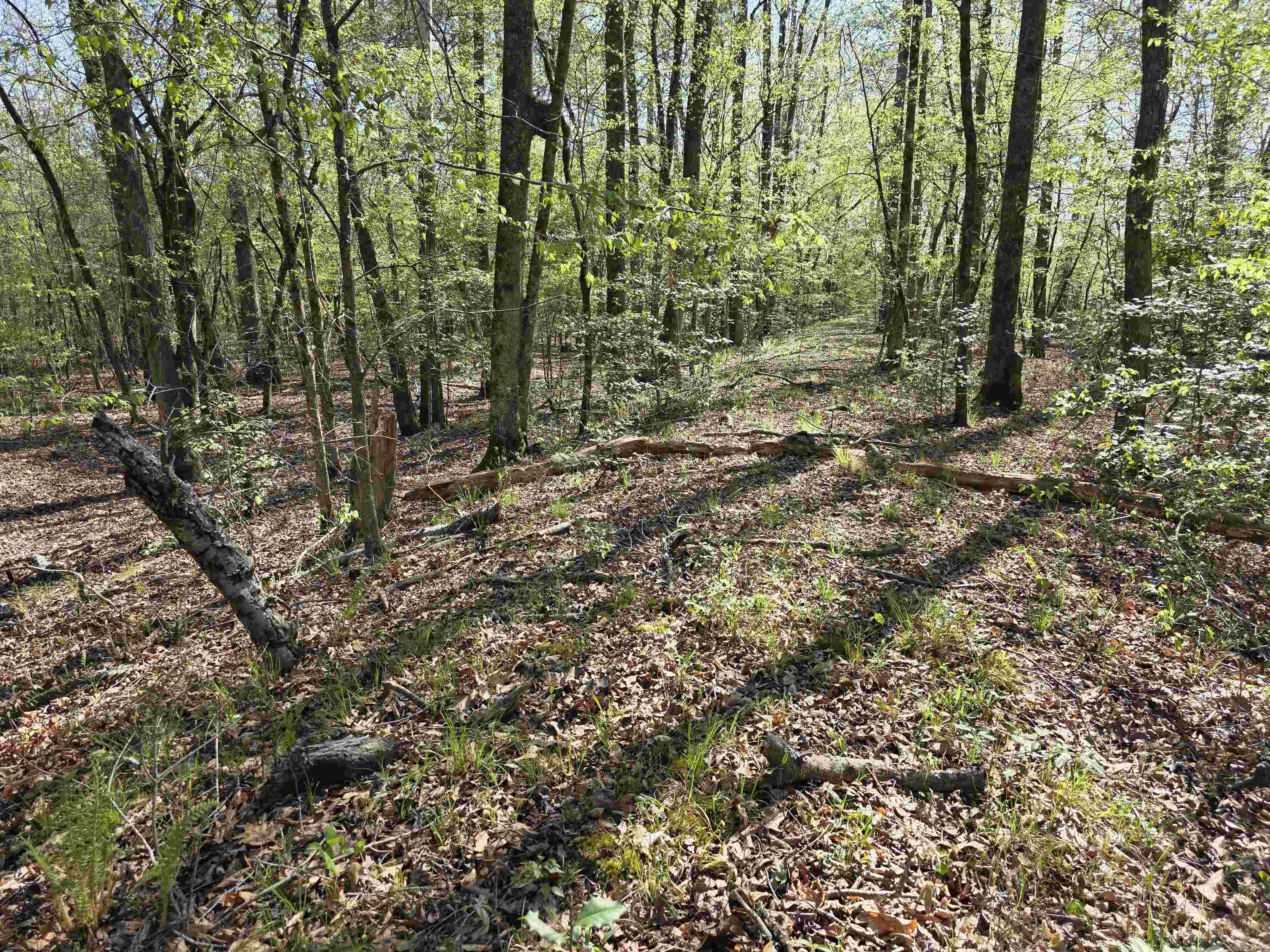 Tbd Shawmut Road Property Photo 15