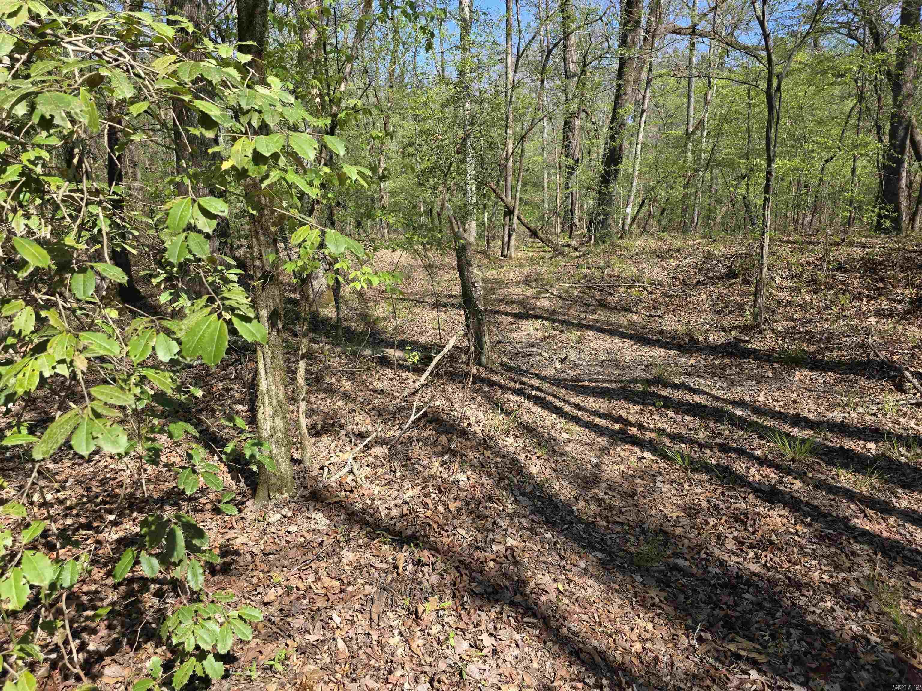 Tbd Shawmut Road Property Photo 16