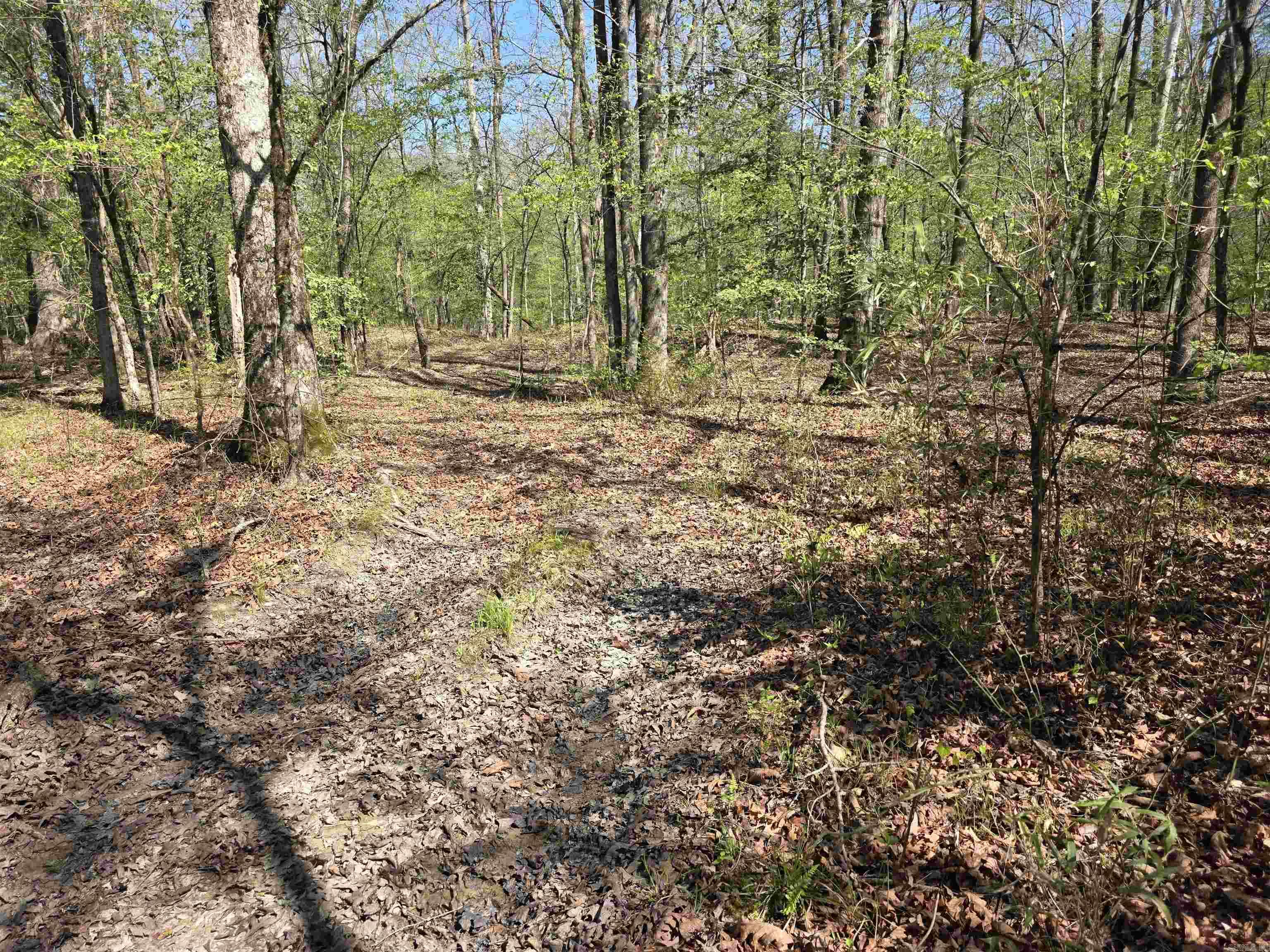 Tbd Shawmut Road Property Photo 17