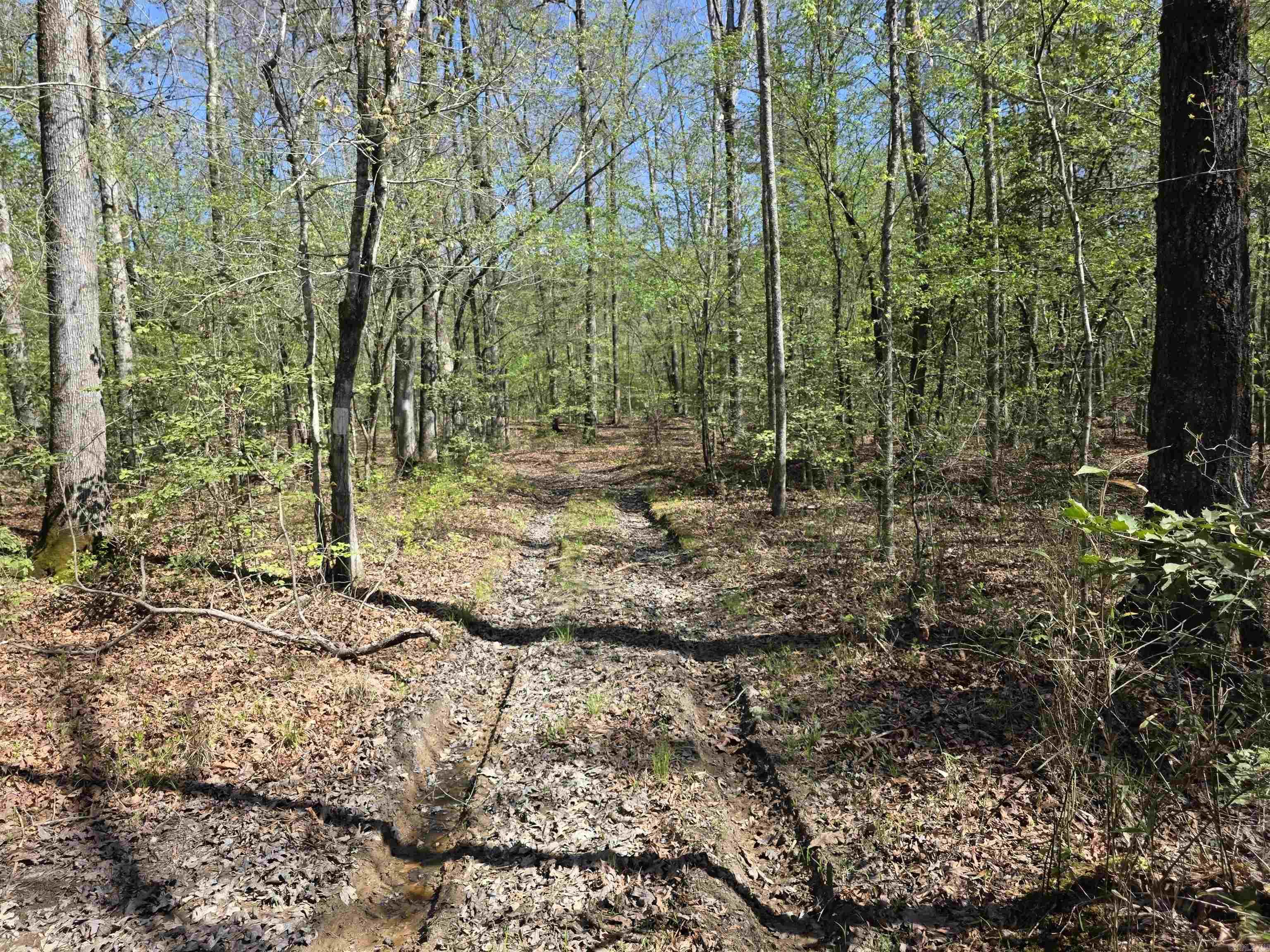 Tbd Shawmut Road Property Photo 18