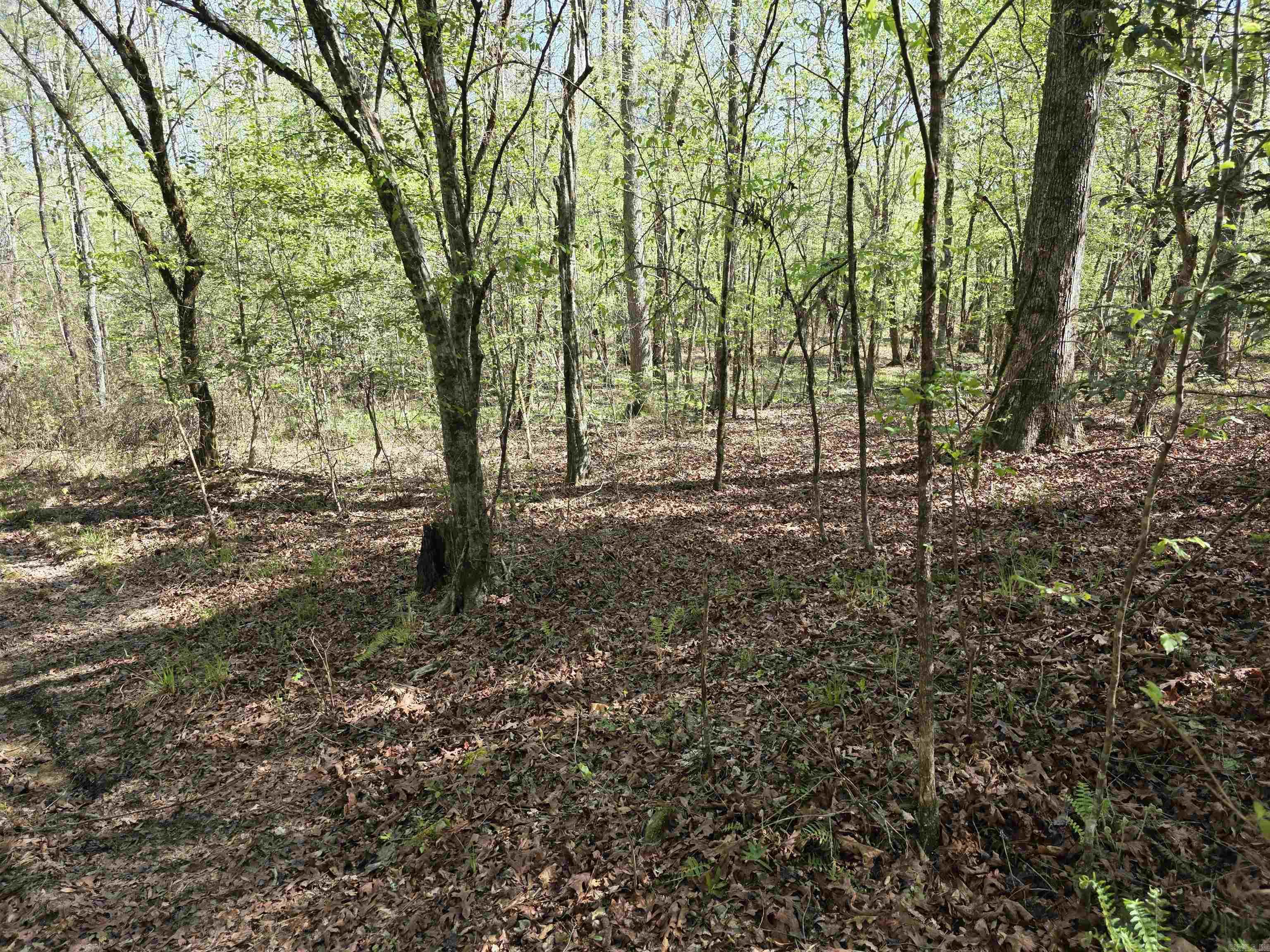 Tbd Shawmut Road Property Photo 19