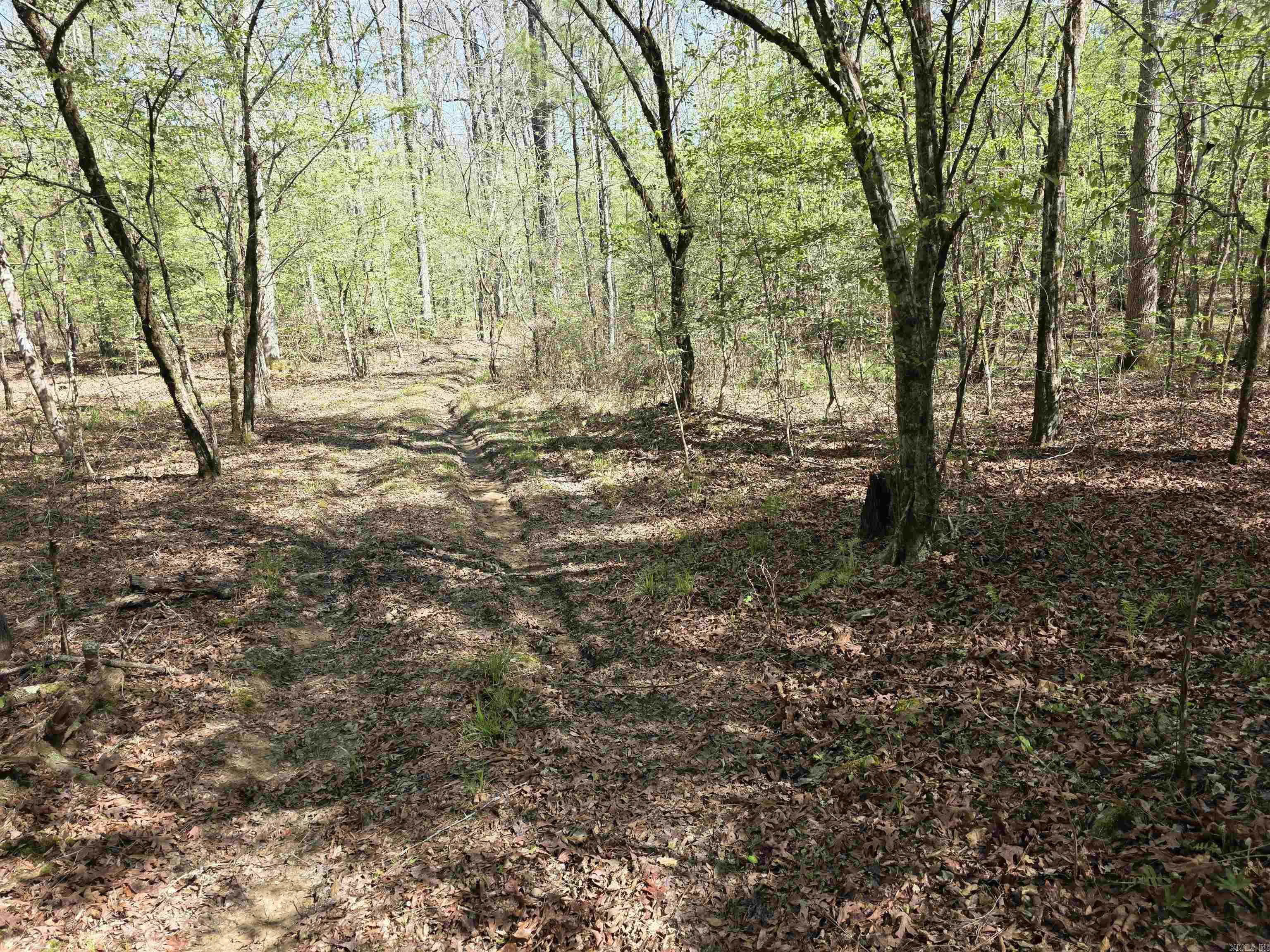 Tbd Shawmut Road Property Photo 20