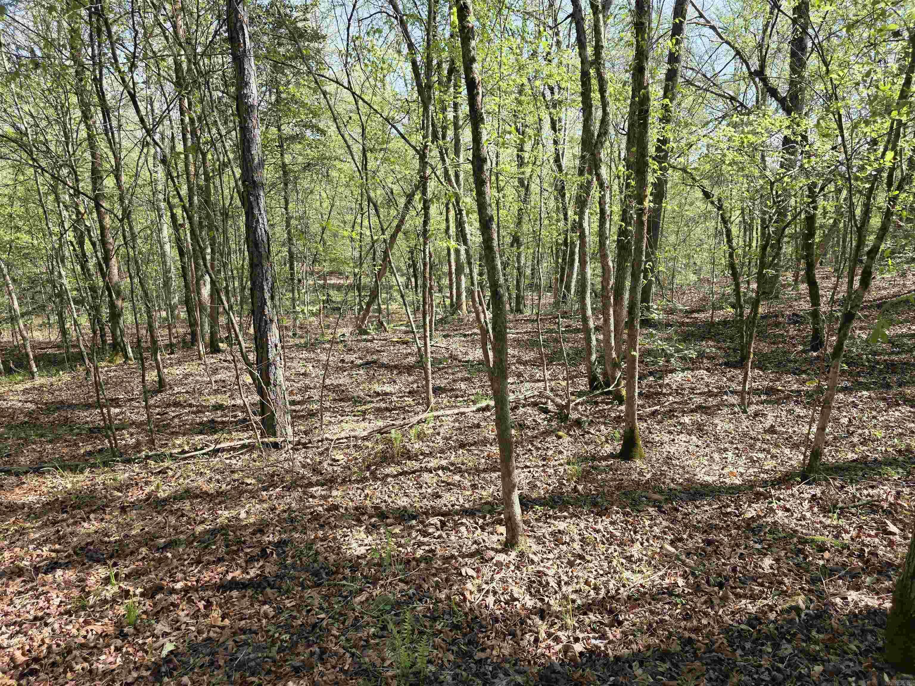 Tbd Shawmut Road Property Photo 21