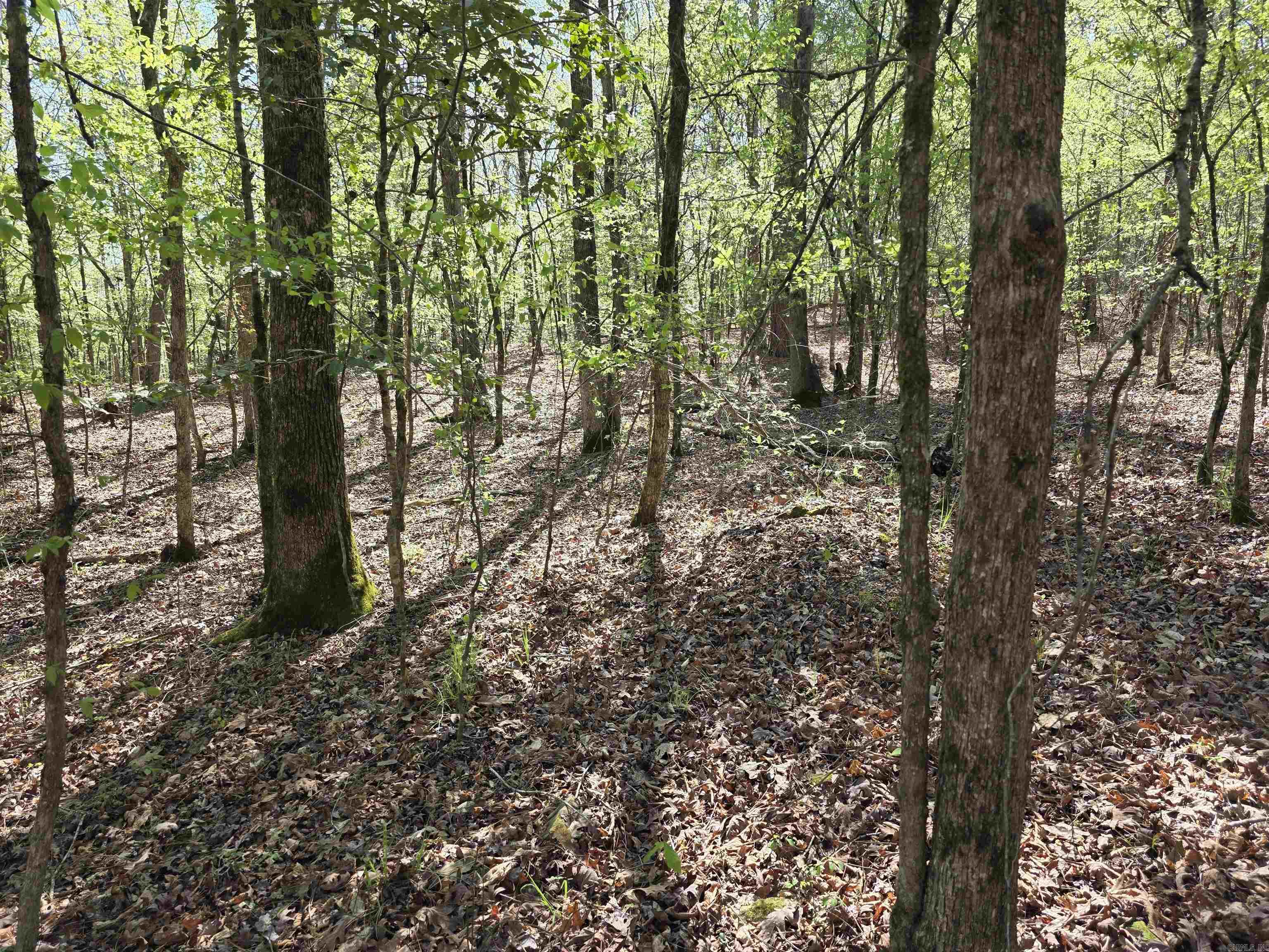 Tbd Shawmut Road Property Photo 22