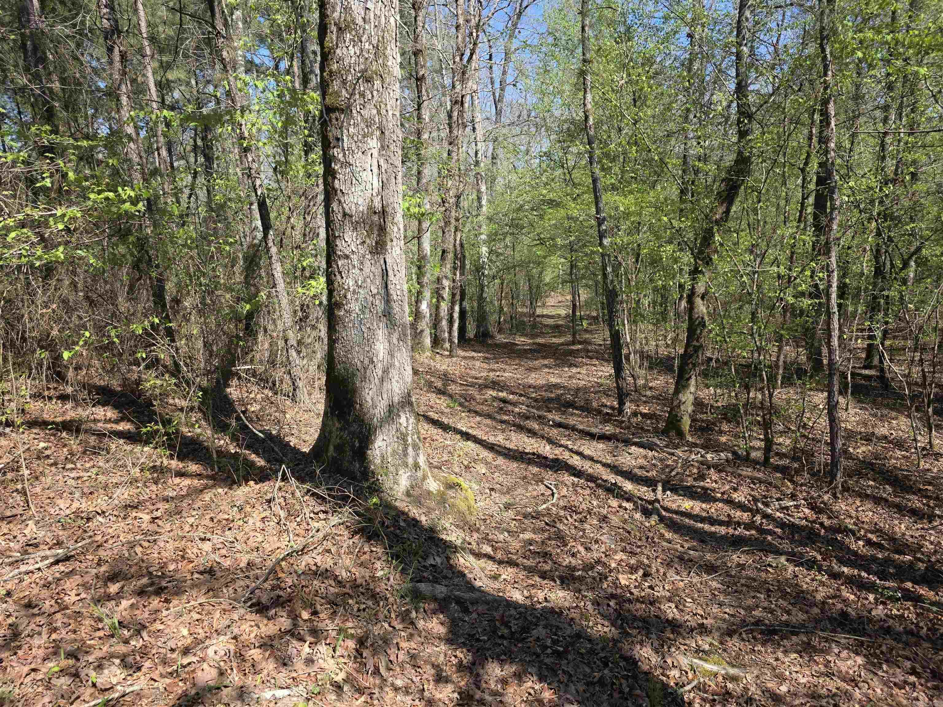 Tbd Shawmut Road Property Photo 24