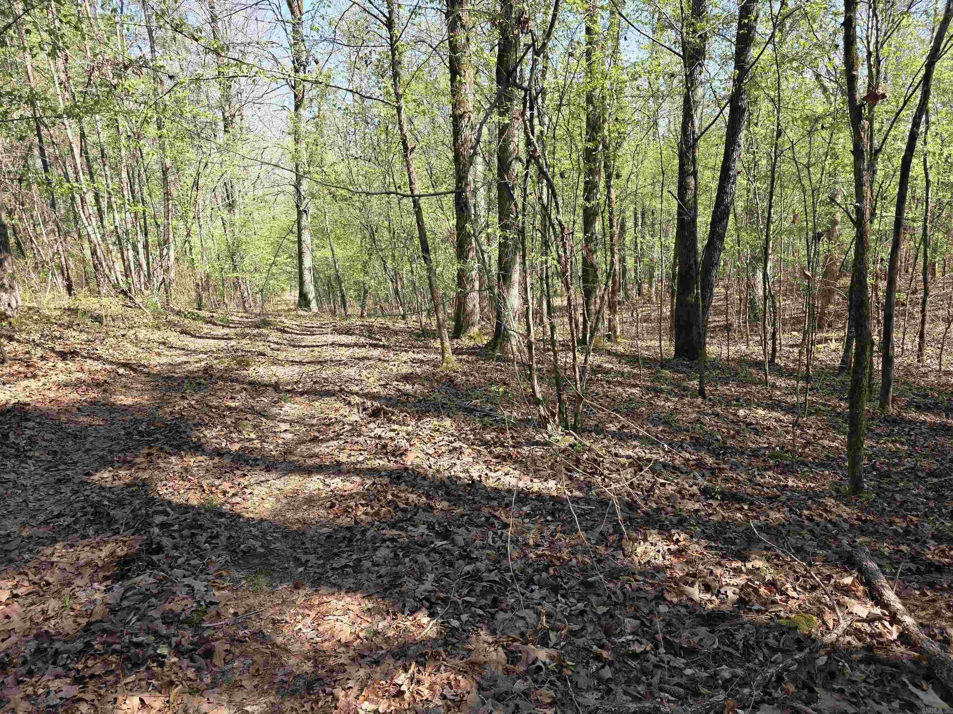 Tbd Shawmut Road Property Photo 25