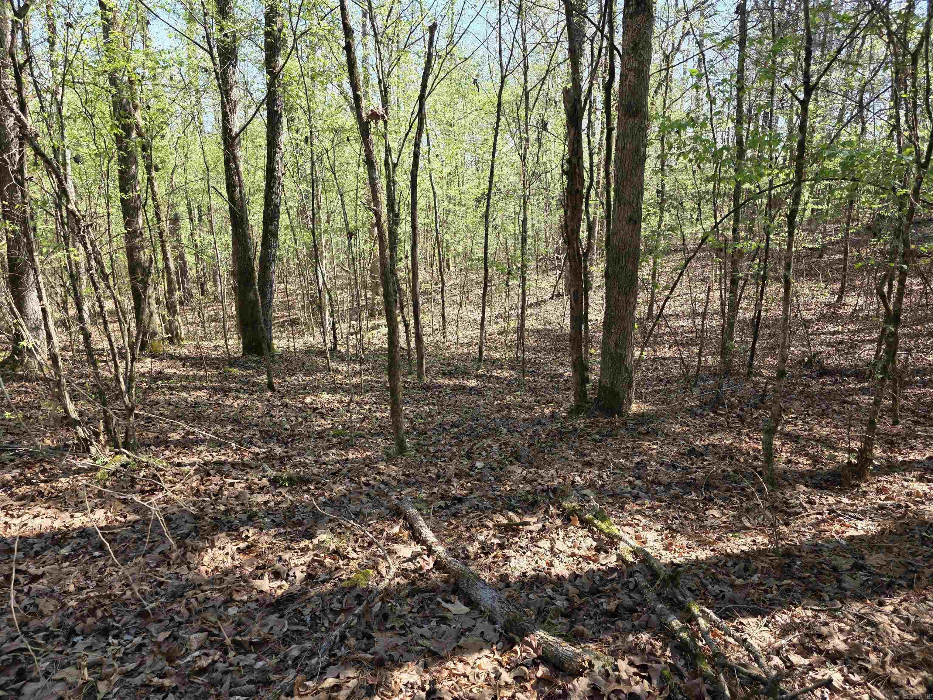Tbd Shawmut Road Property Photo 26