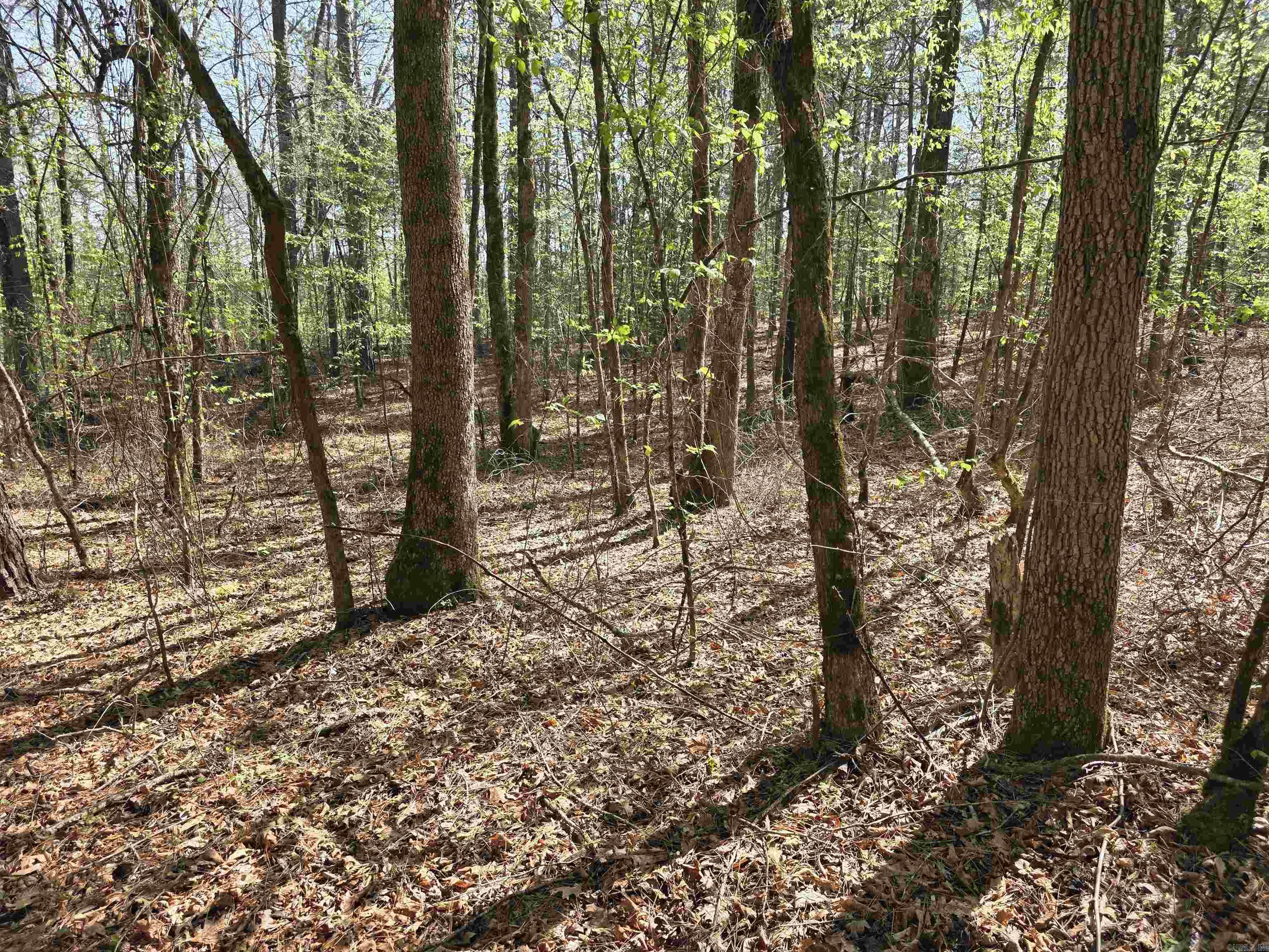 Tbd Shawmut Road Property Photo 27