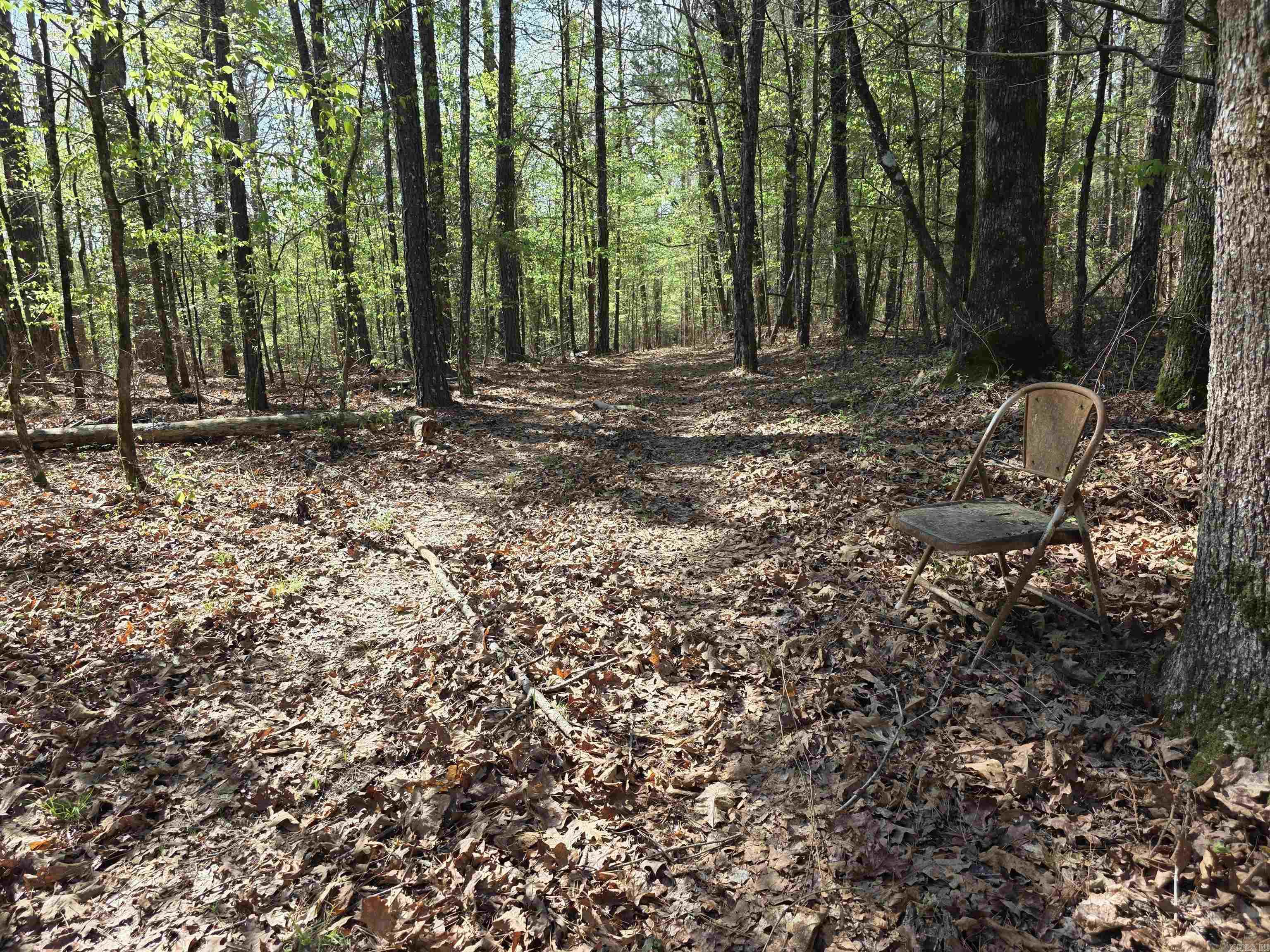 Tbd Shawmut Road Property Photo 28