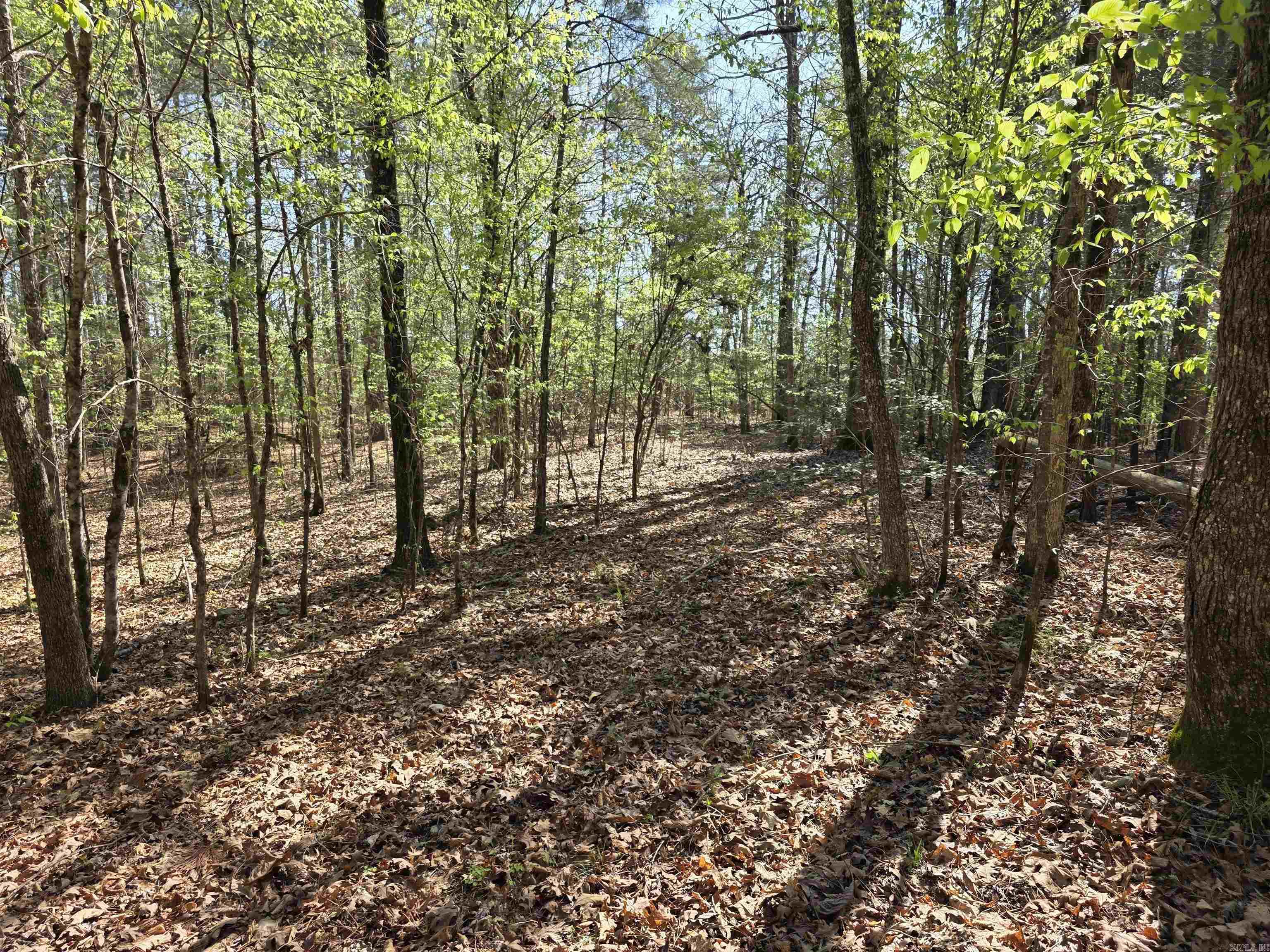 Tbd Shawmut Road Property Photo 29