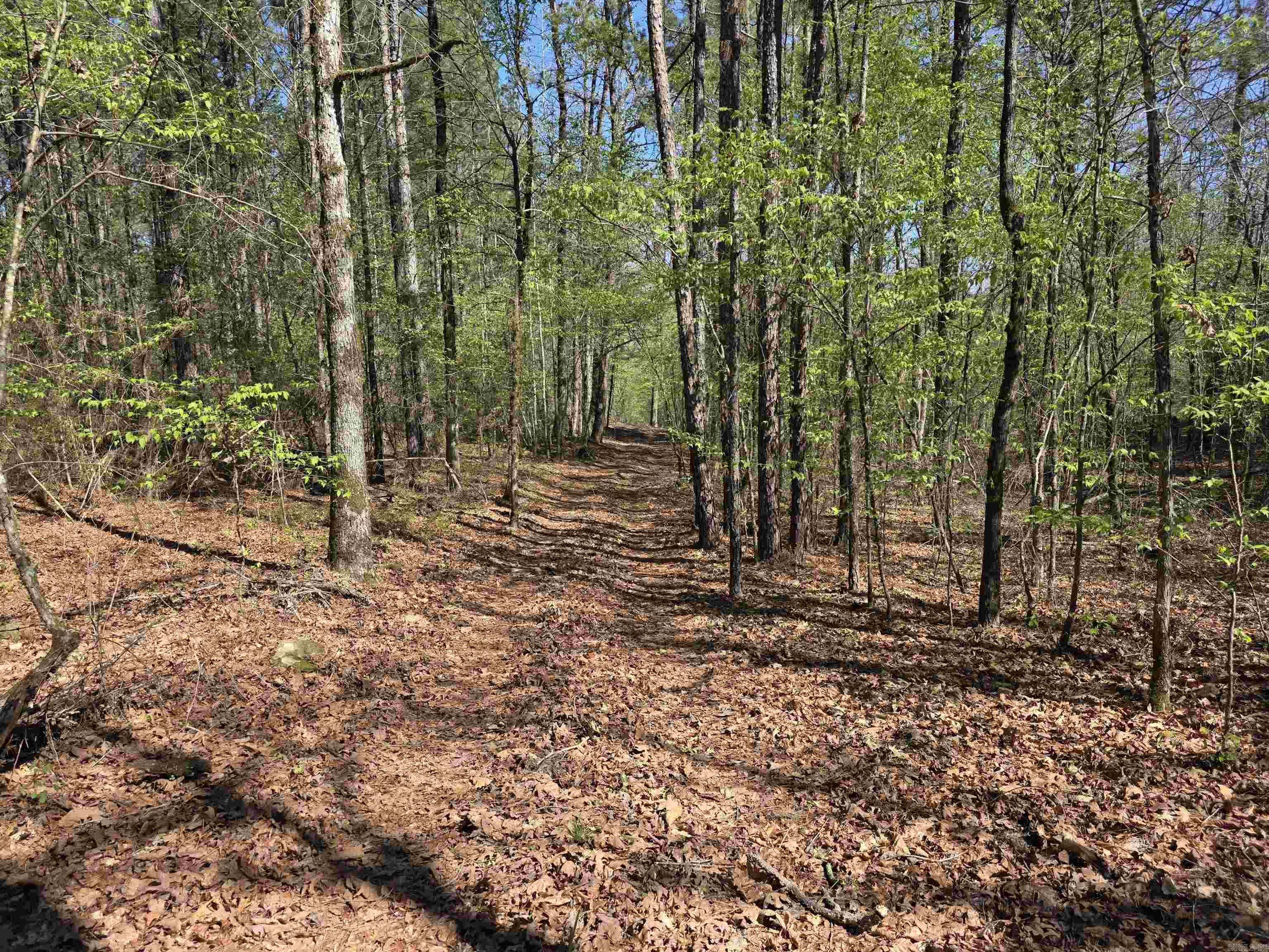 Tbd Shawmut Road Property Photo 30