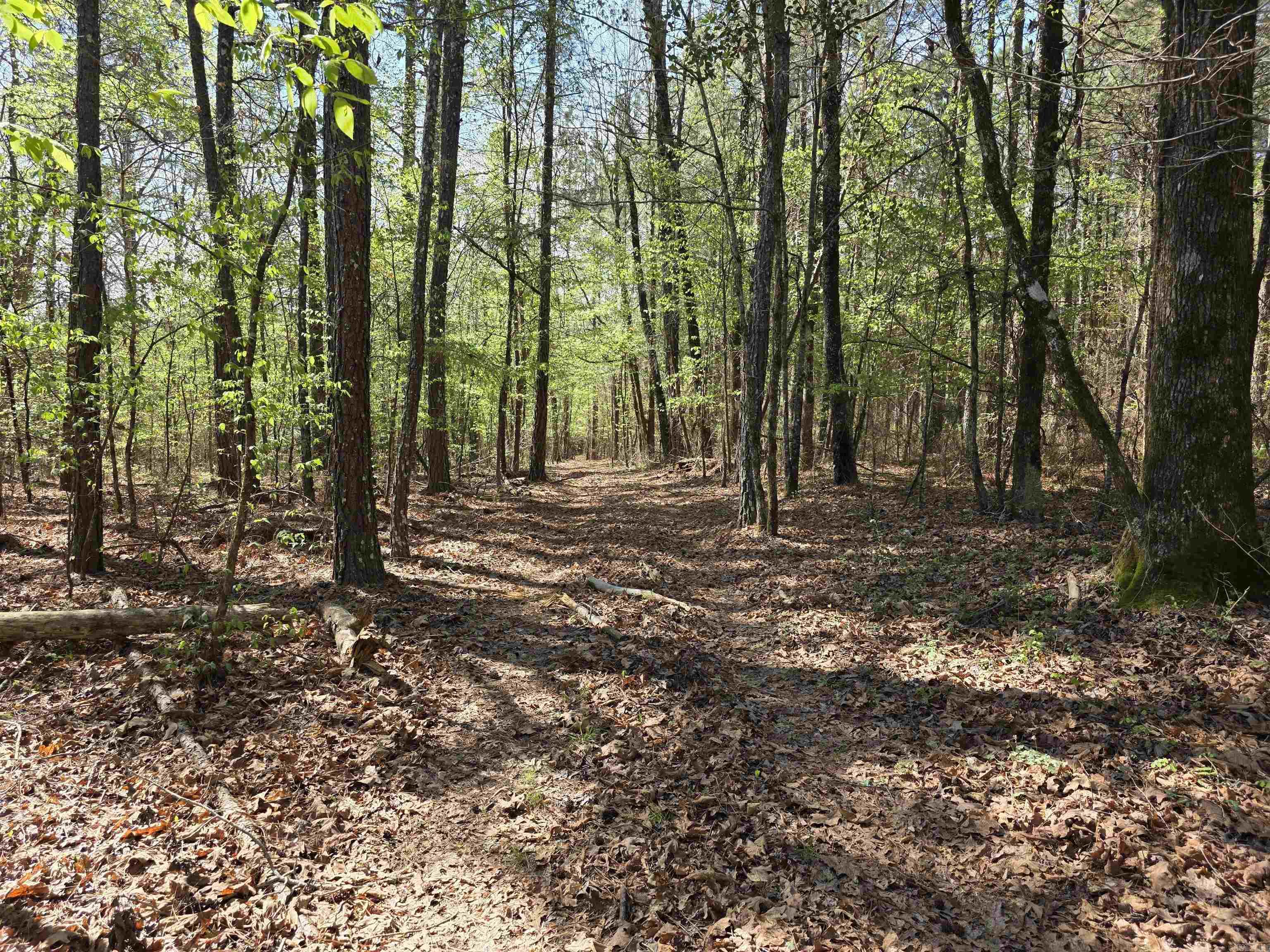 Tbd Shawmut Road Property Photo 31