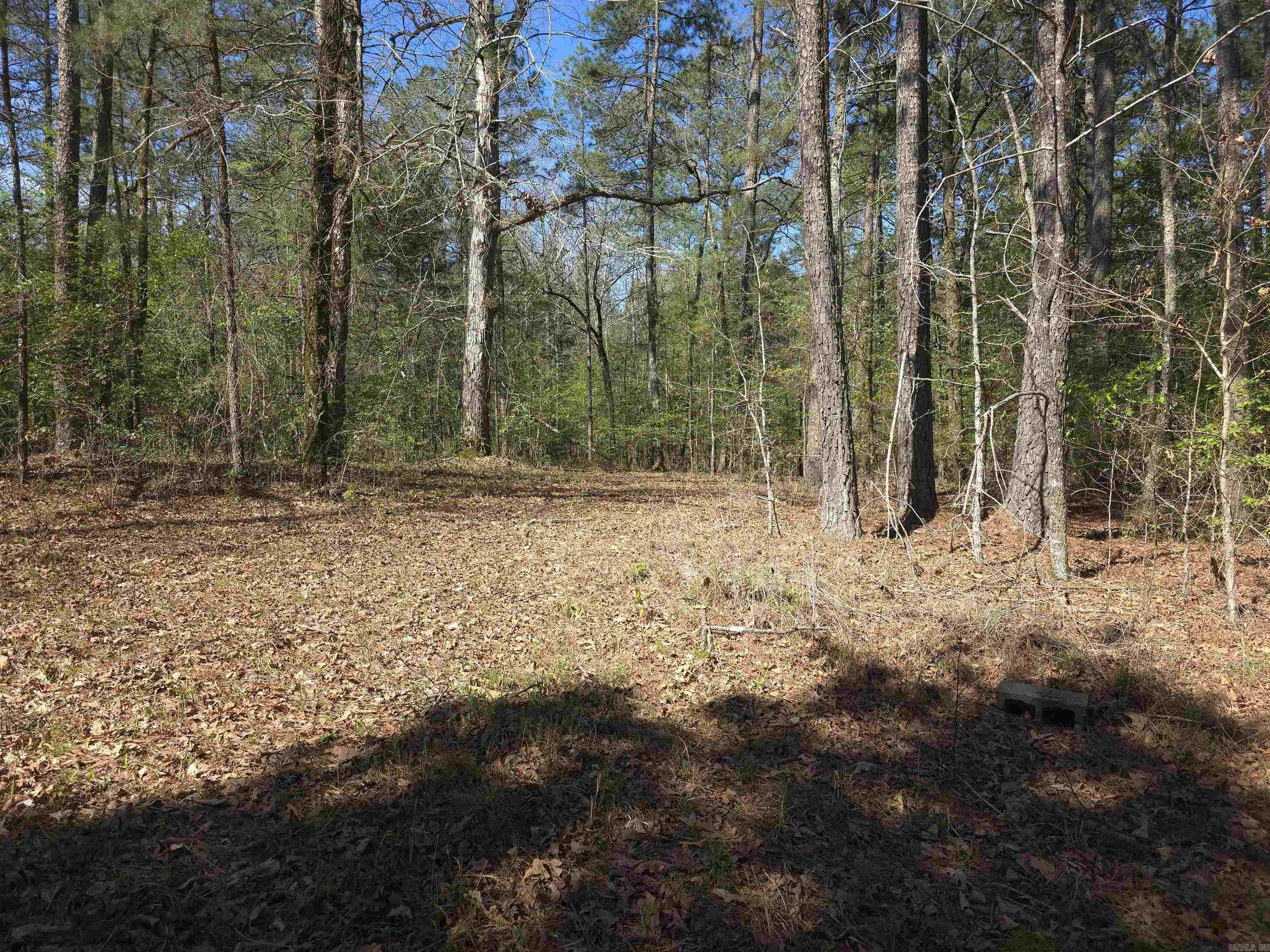 Tbd Shawmut Road Property Photo 32