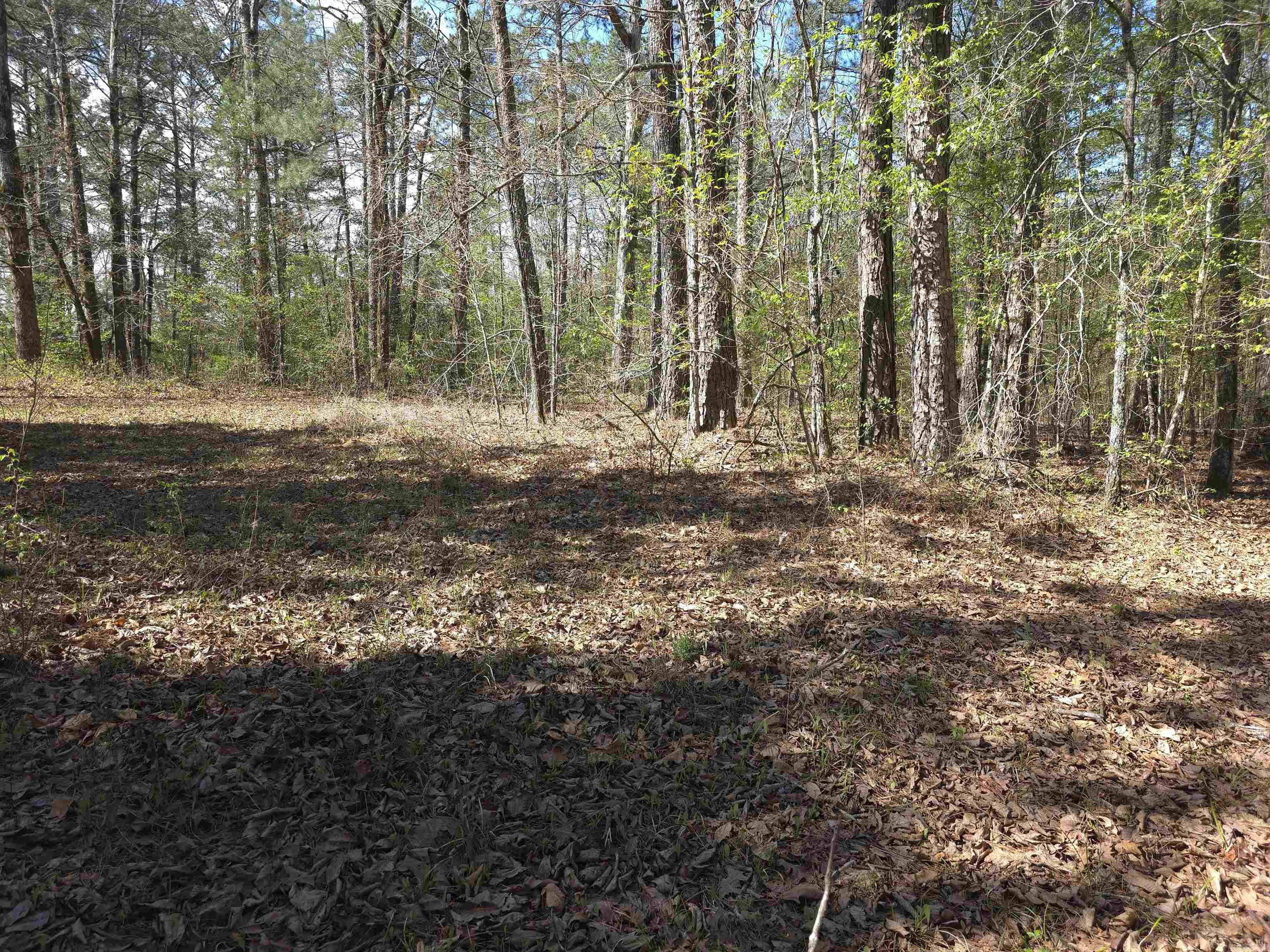 Tbd Shawmut Road Property Photo 33