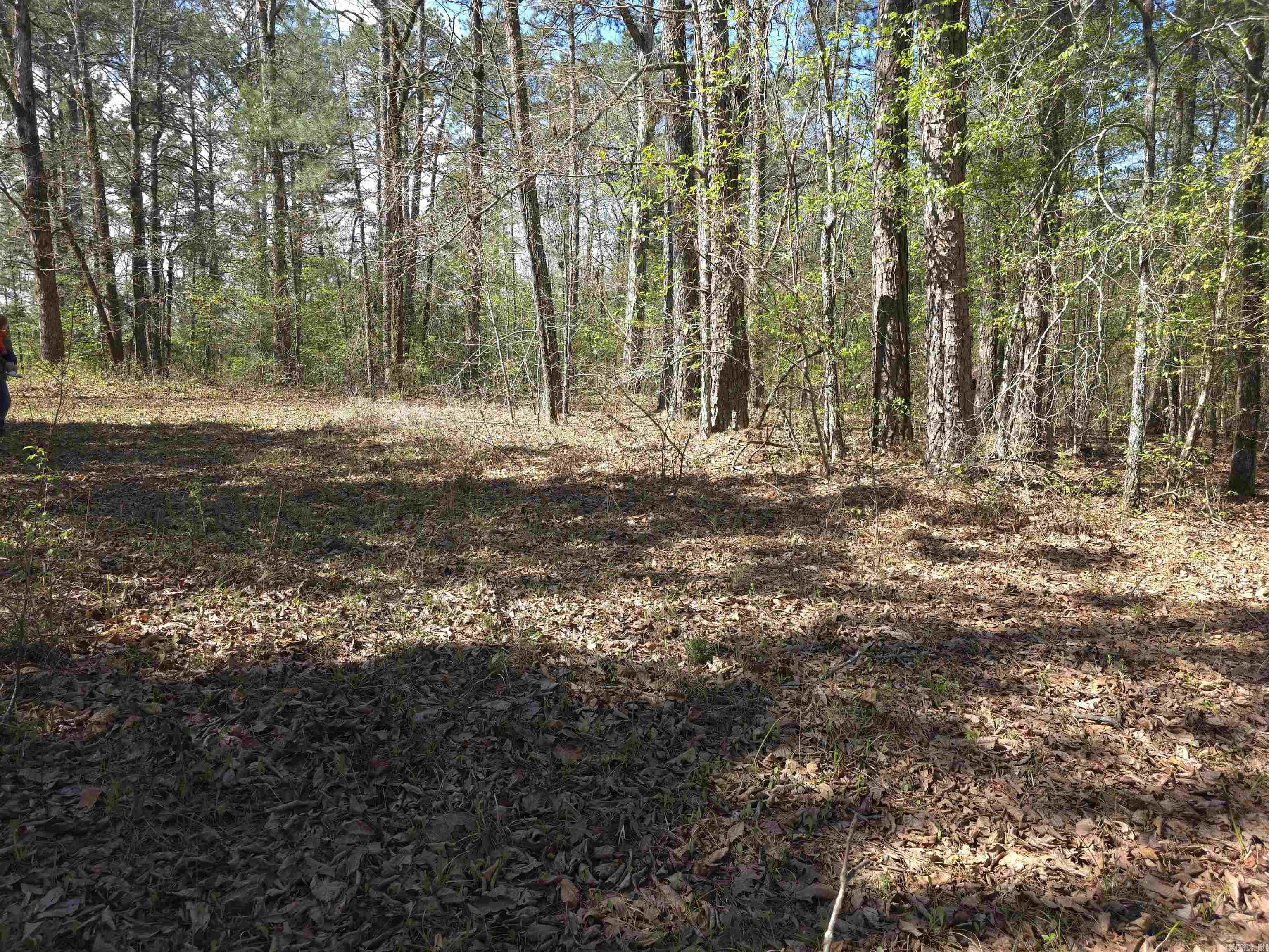 Tbd Shawmut Road Property Photo 34