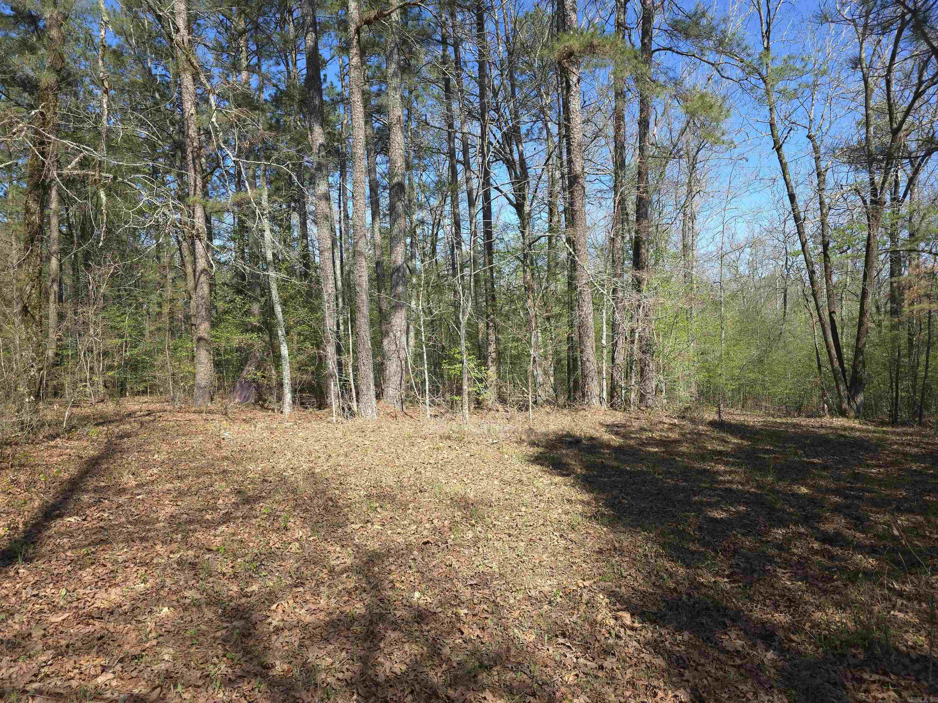 Tbd Shawmut Road Property Photo 35